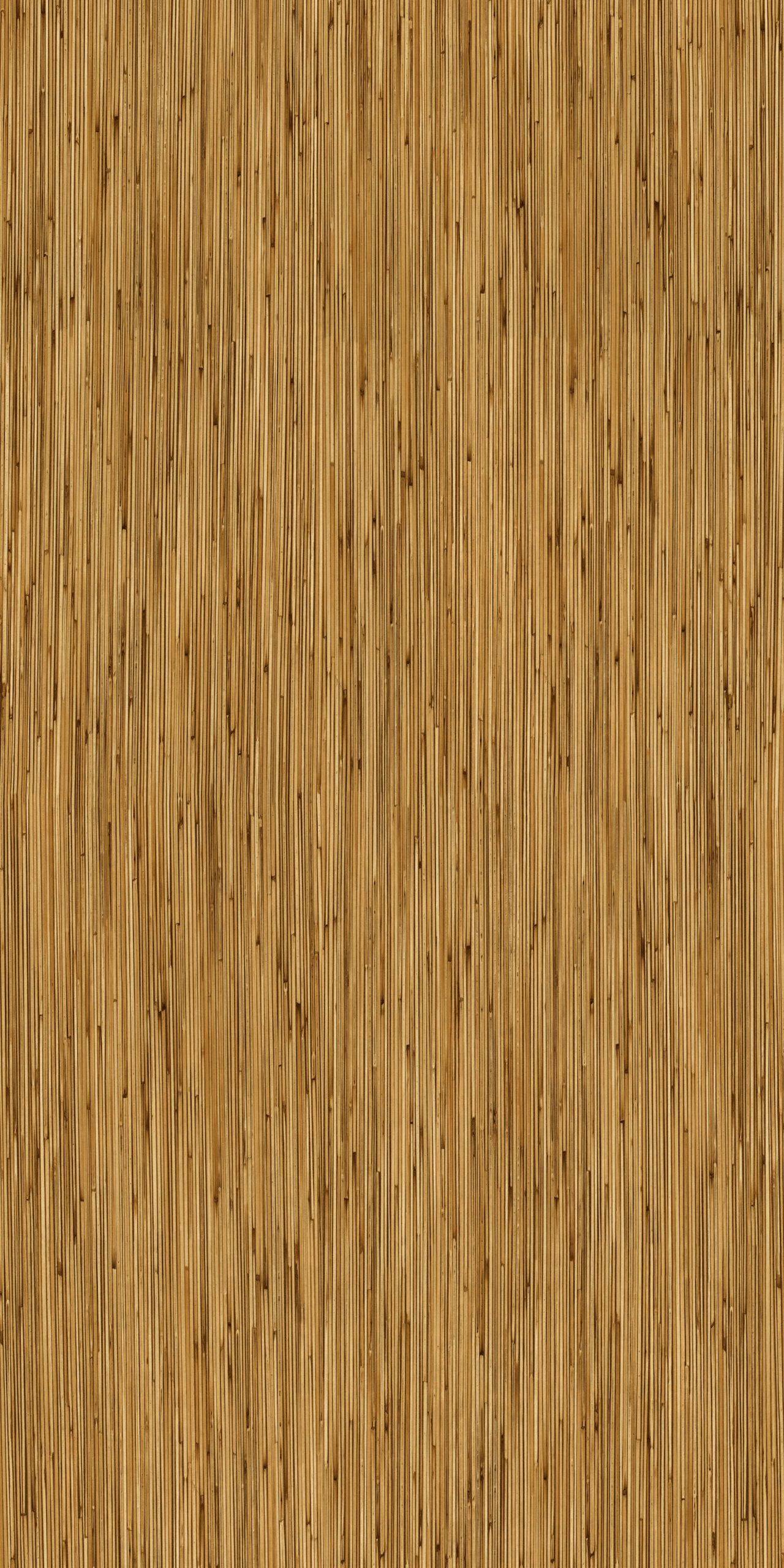 TW2 1199 BAMBOO WOOD scaled 1.jpg