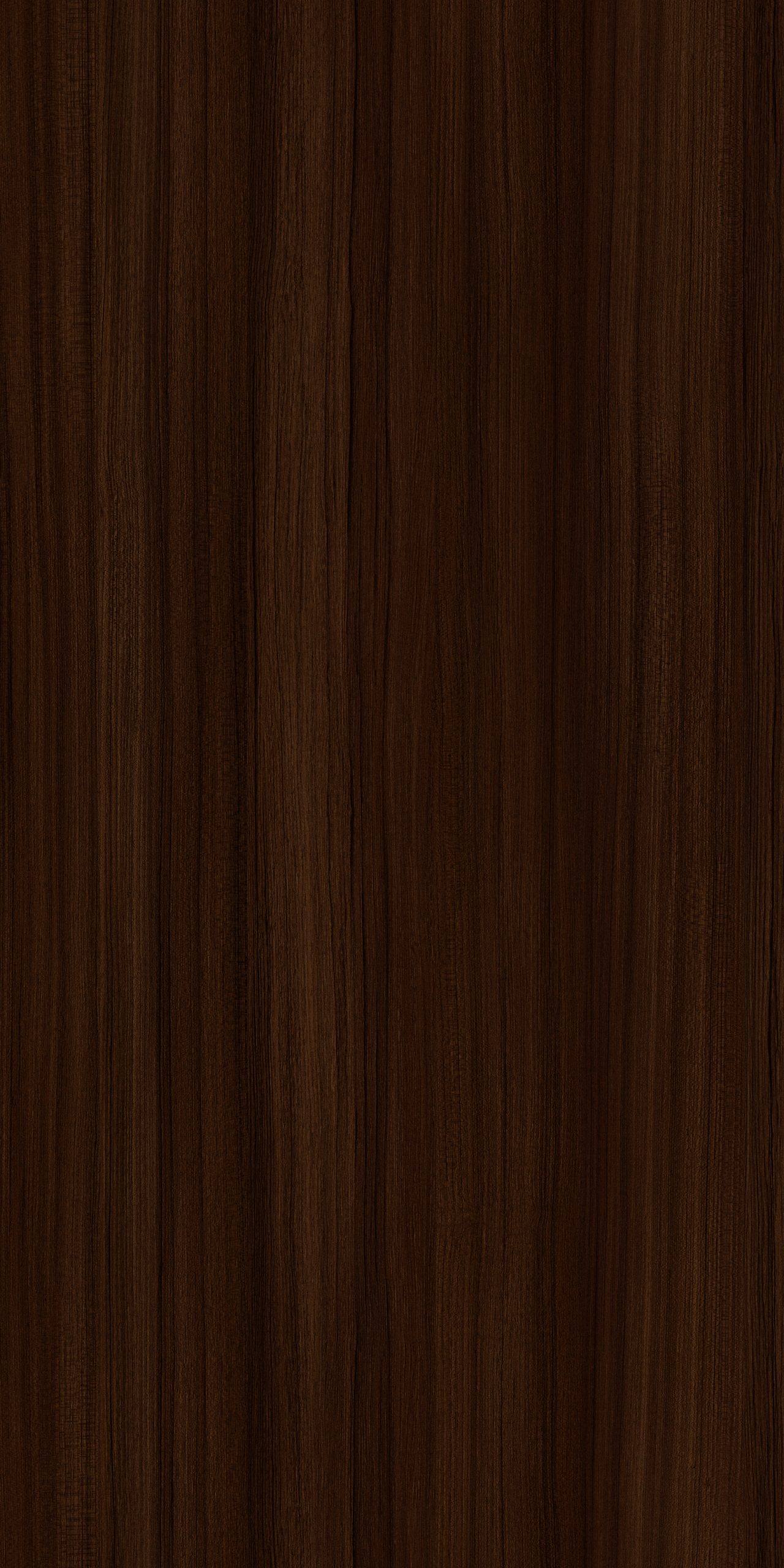 TW2 1307 TECTONA TEAK scaled 1.jpg