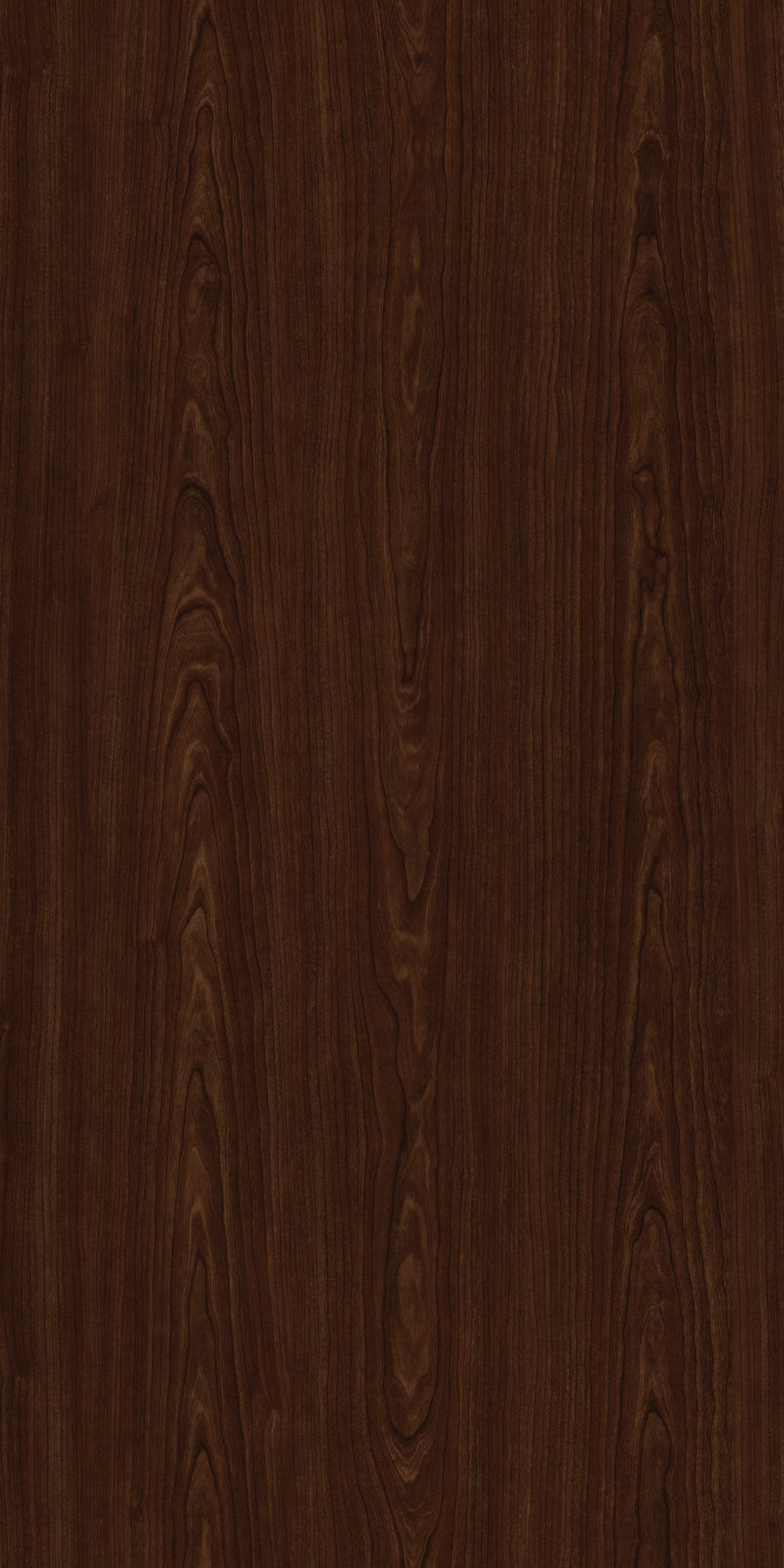 TW2 1310 PRUNUS CHERRY scaled 1.jpg