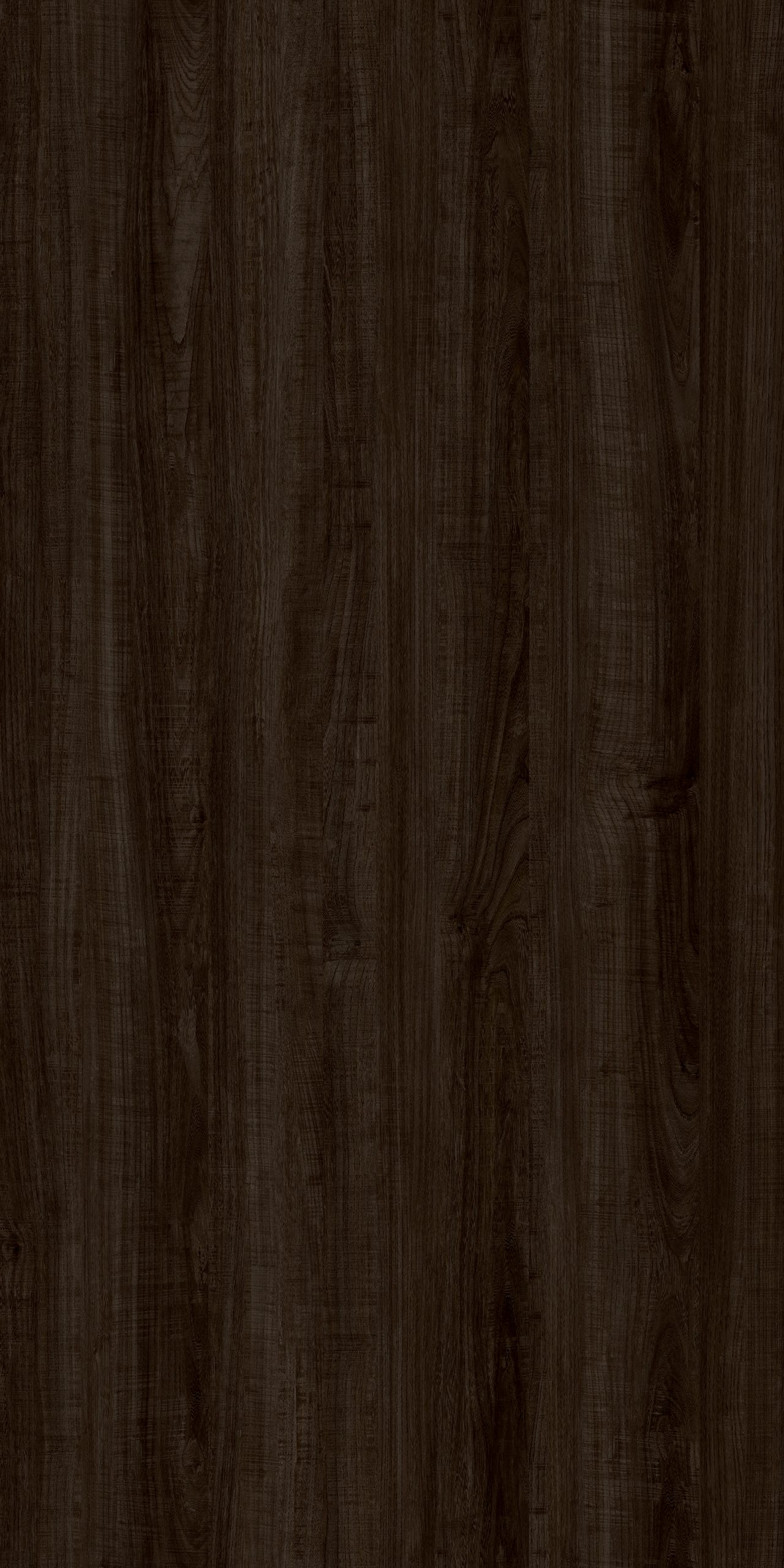 TW2 1317 NEVADA ELM scaled 1.jpg