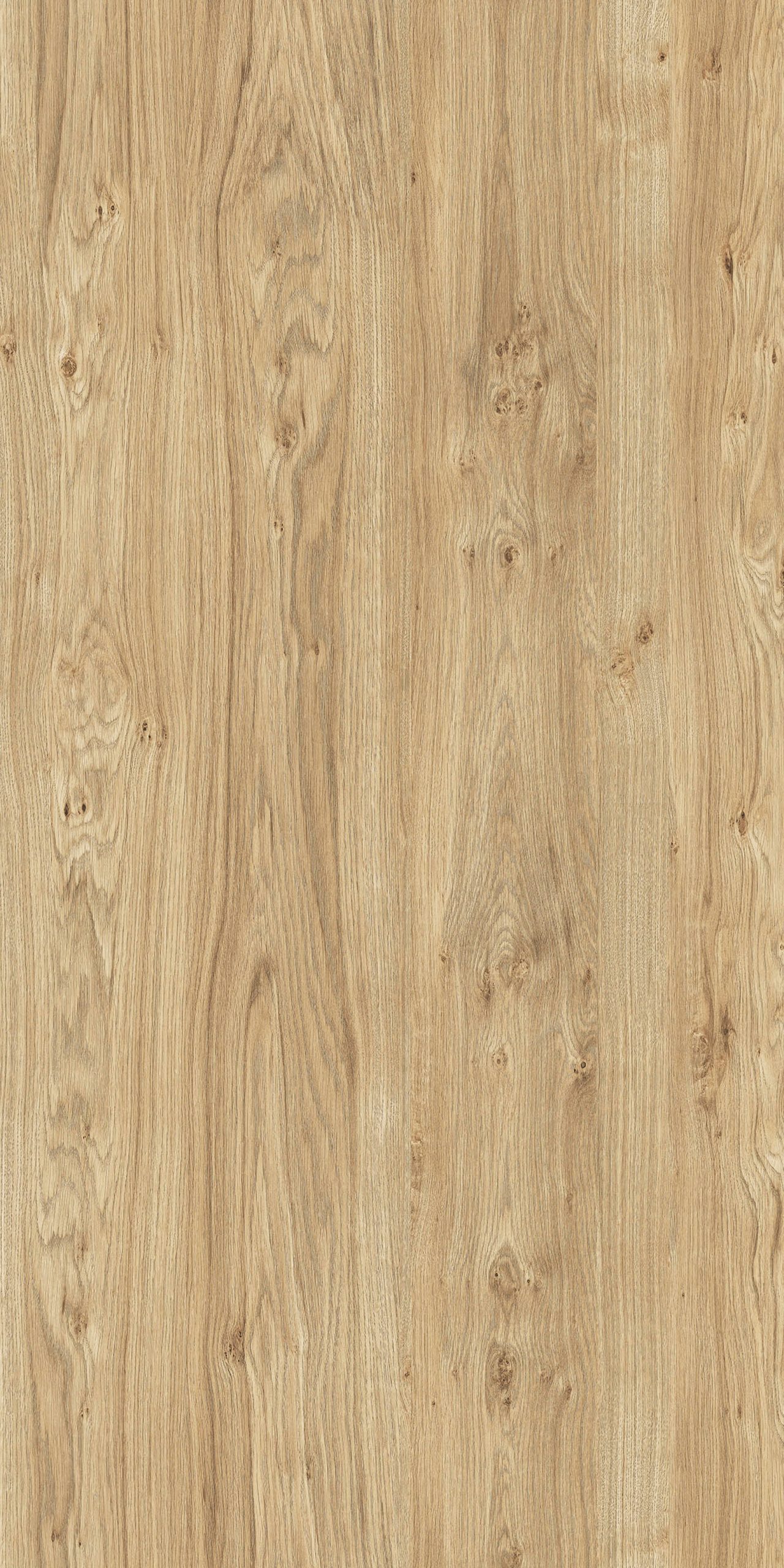 TW2 1323 ALASKA OAK scaled 1.jpg