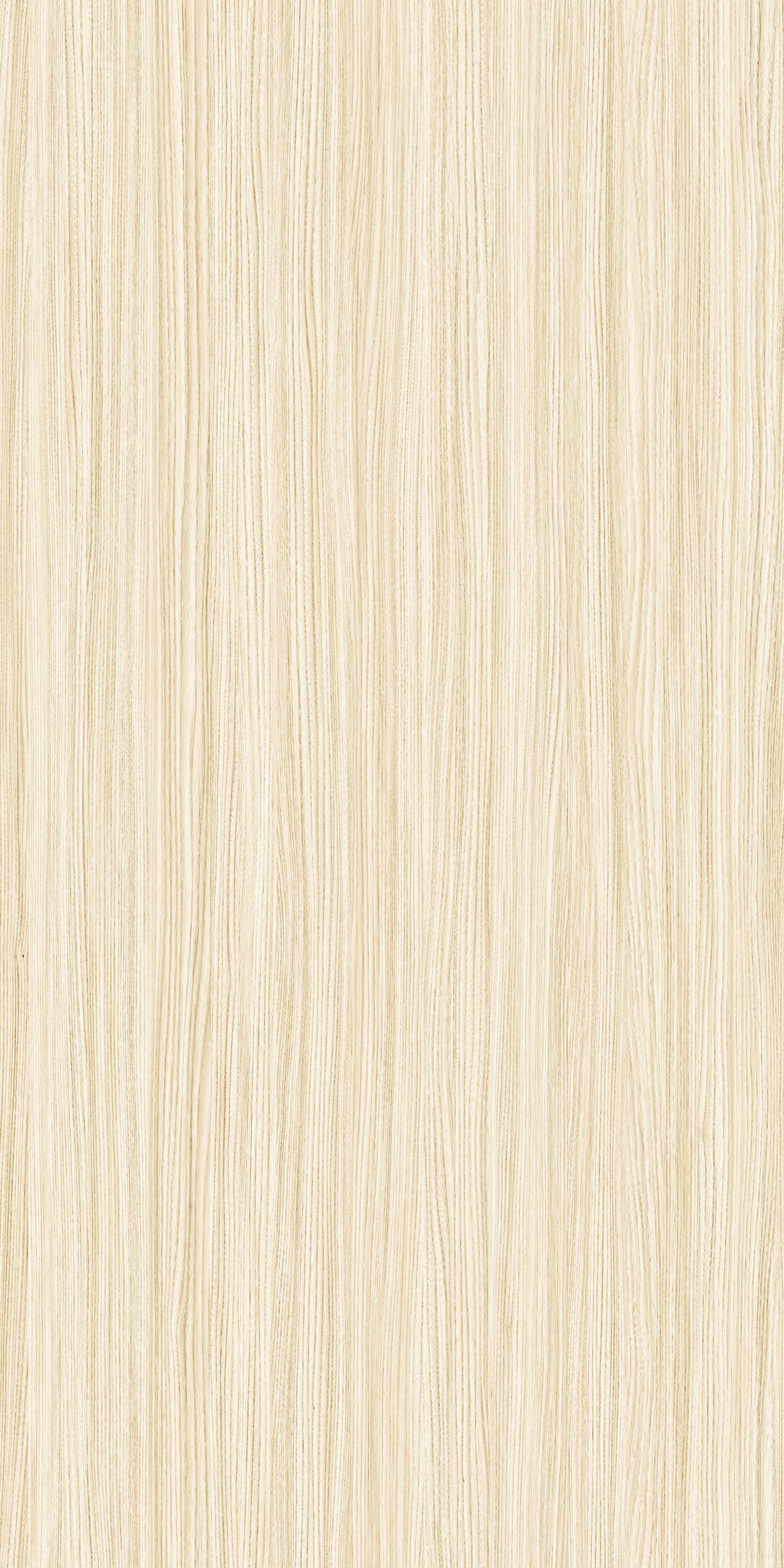 TW2 1328 MARYLAND ELM scaled 1.jpg