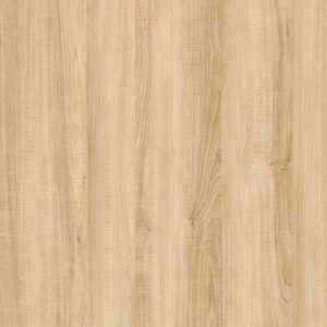 TW2 1333 OKLAHOMA ELM scaled 1.jpg