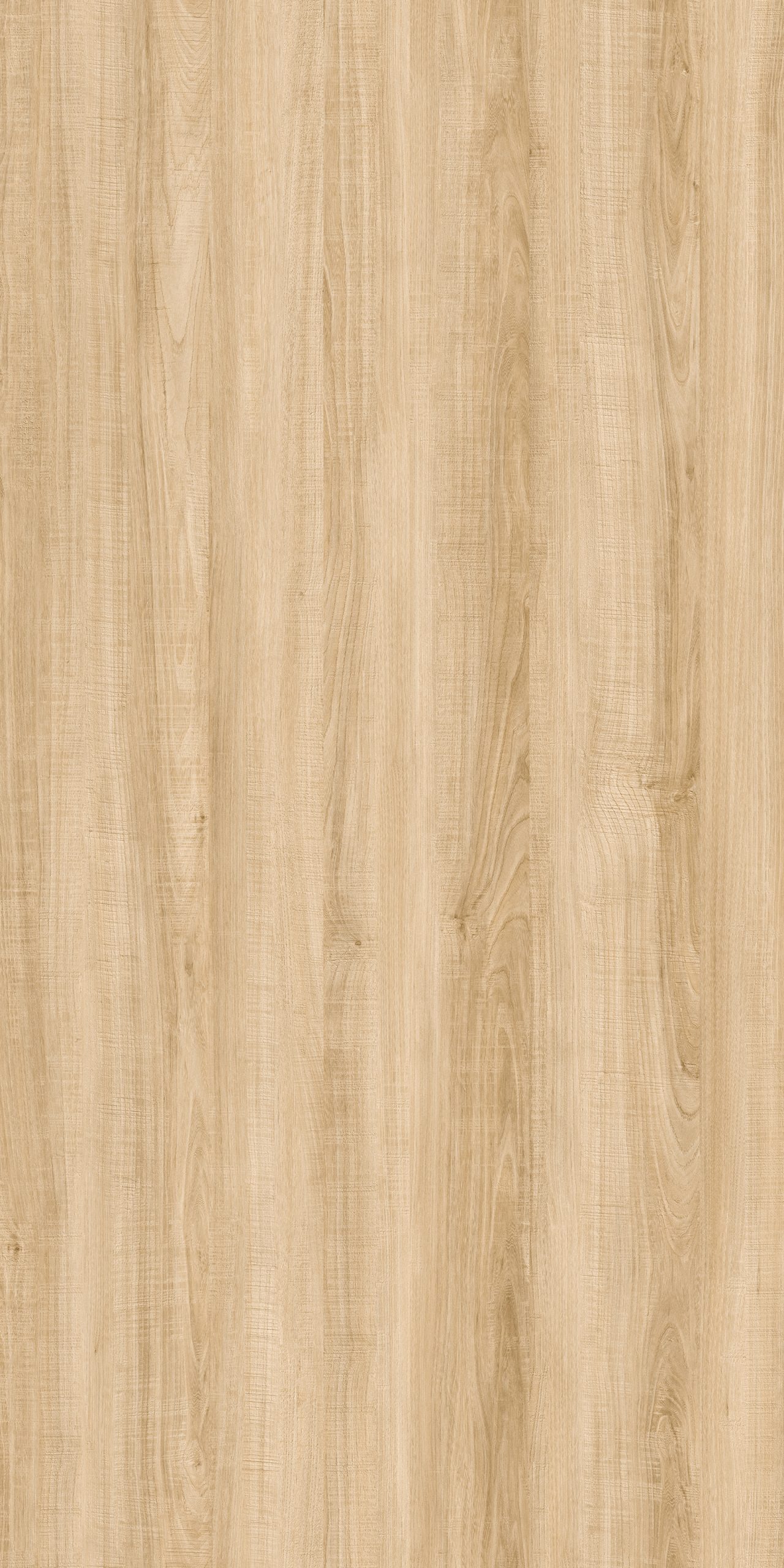 TW2 1333 OKLAHOMA ELM scaled 1.jpg