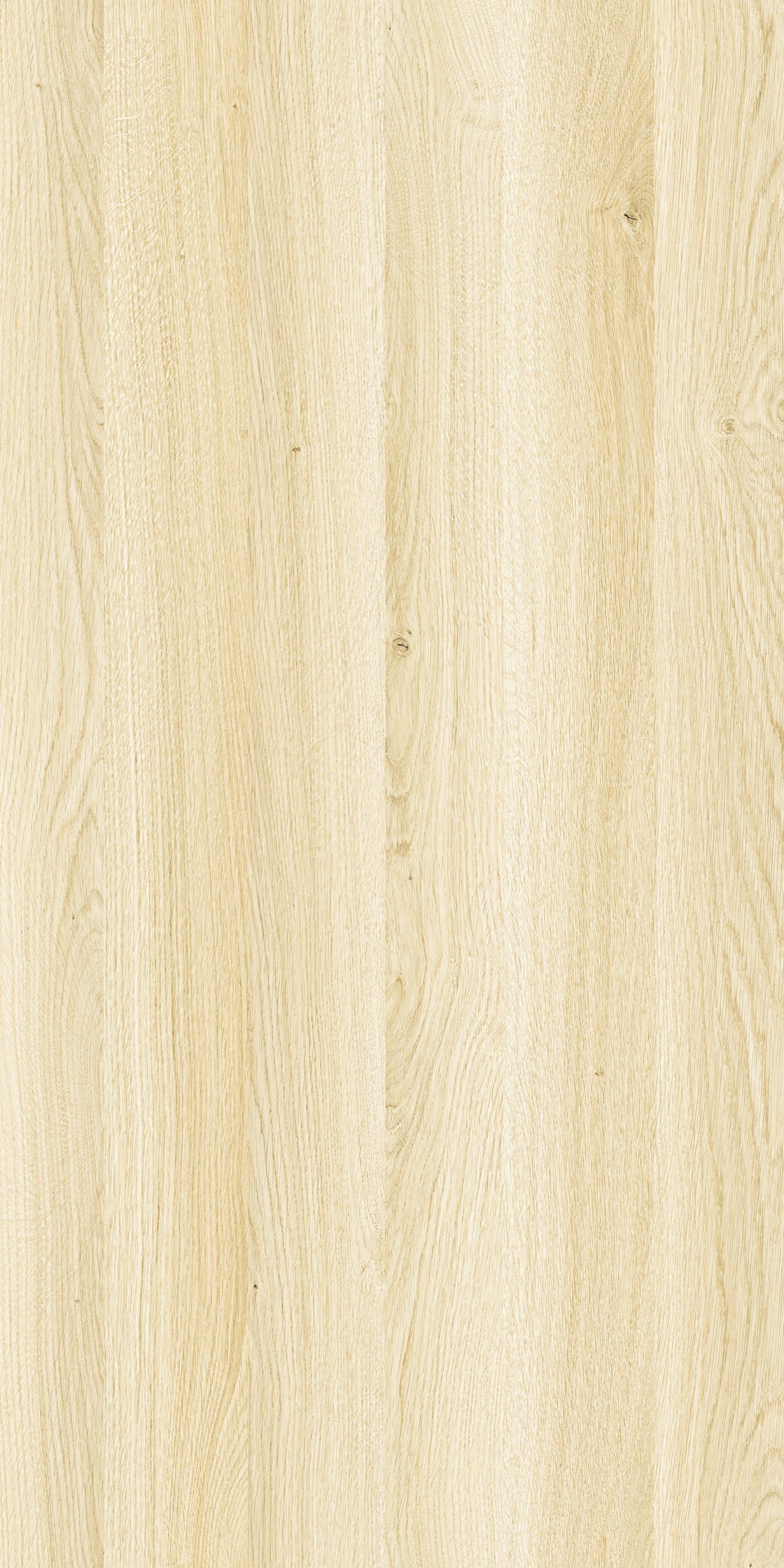 TW2 1336 EUROPE OAK scaled 1.jpg