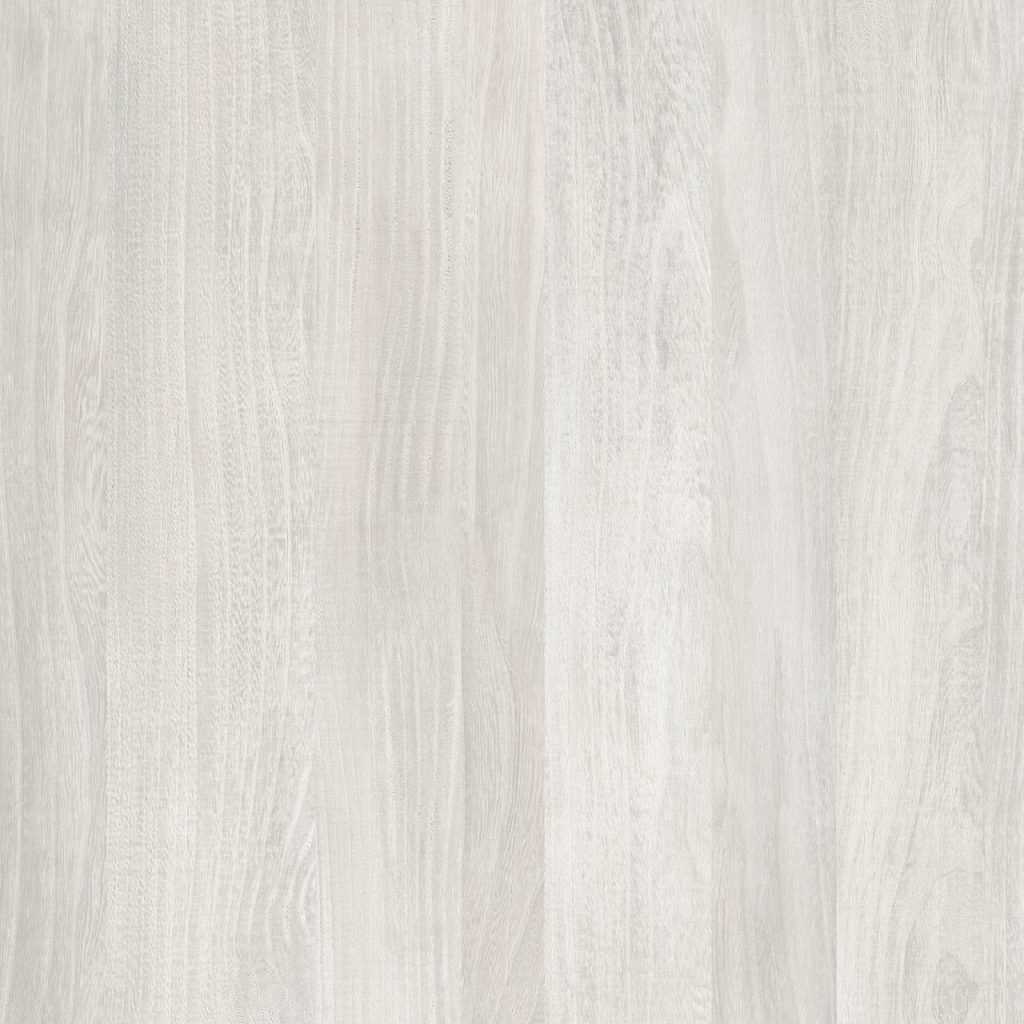 TW2 1351 TEXAS ELM scaled 1.jpg