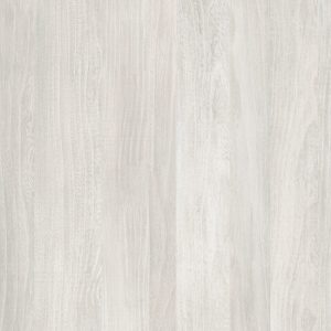 TW2 1351 TEXAS ELM scaled 1.jpg