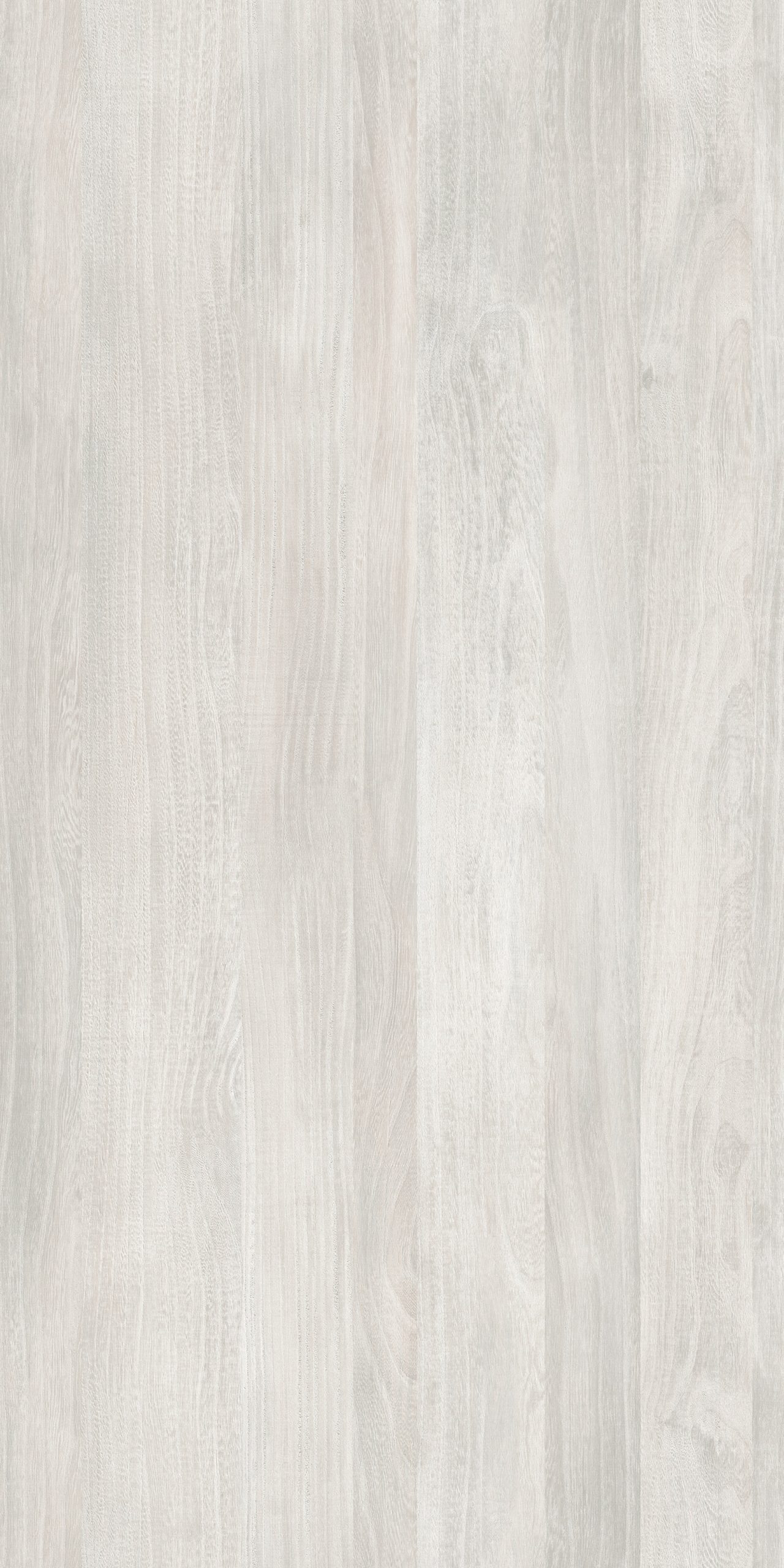 TW2 1351 TEXAS ELM scaled 1.jpg