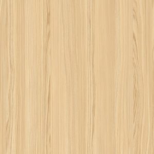 TW2 1353 ORIVESI PINE.jpg