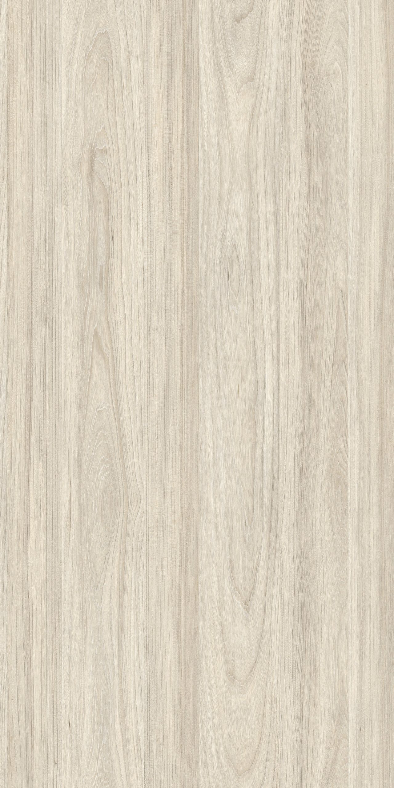 TW2 1526 BEIGE ELM scaled 1.jpg