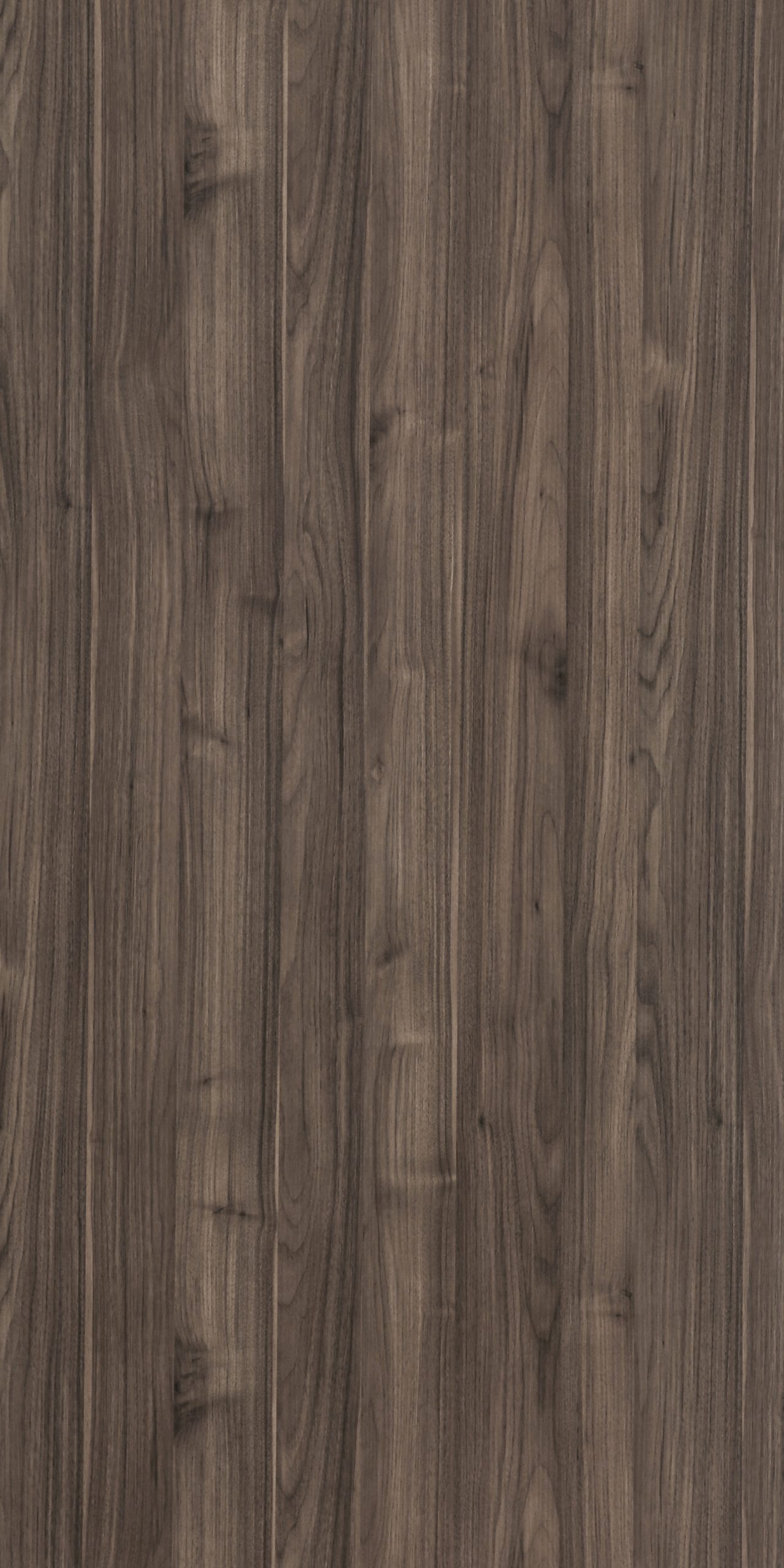 TW2 1573 WASHINGTON WALNUT scaled 1.jpg