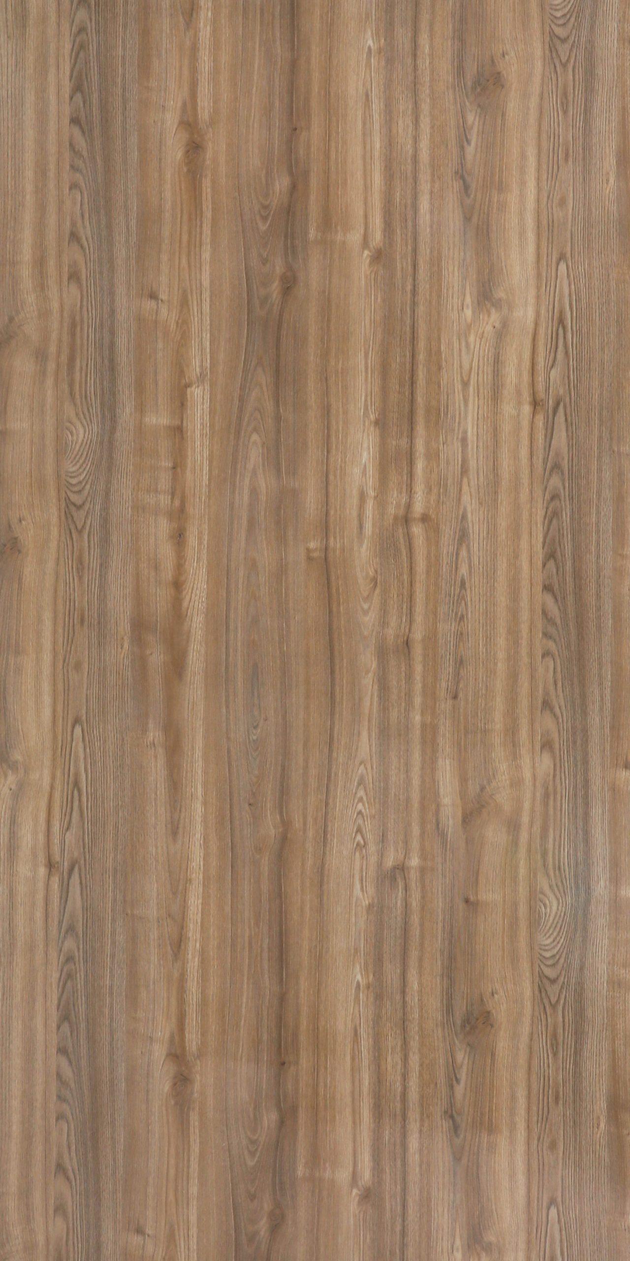 TW4 2310 G MONIEN OAK scaled 1.jpg