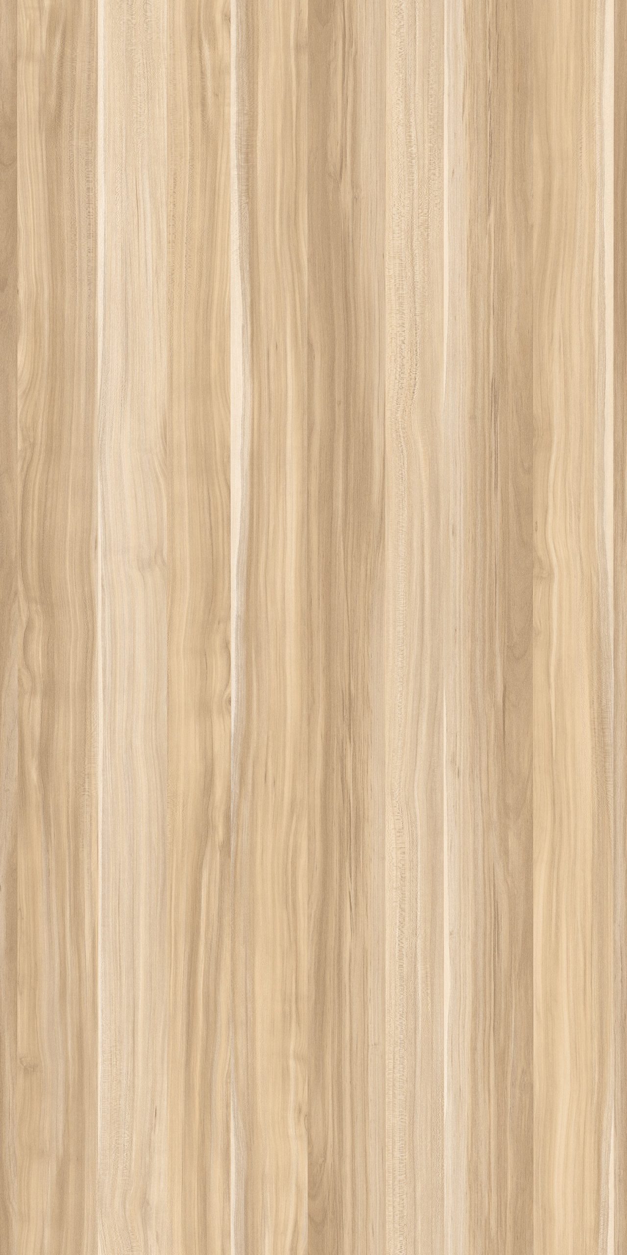 TW4 3598 BORNEO TEAK scaled 1.jpg