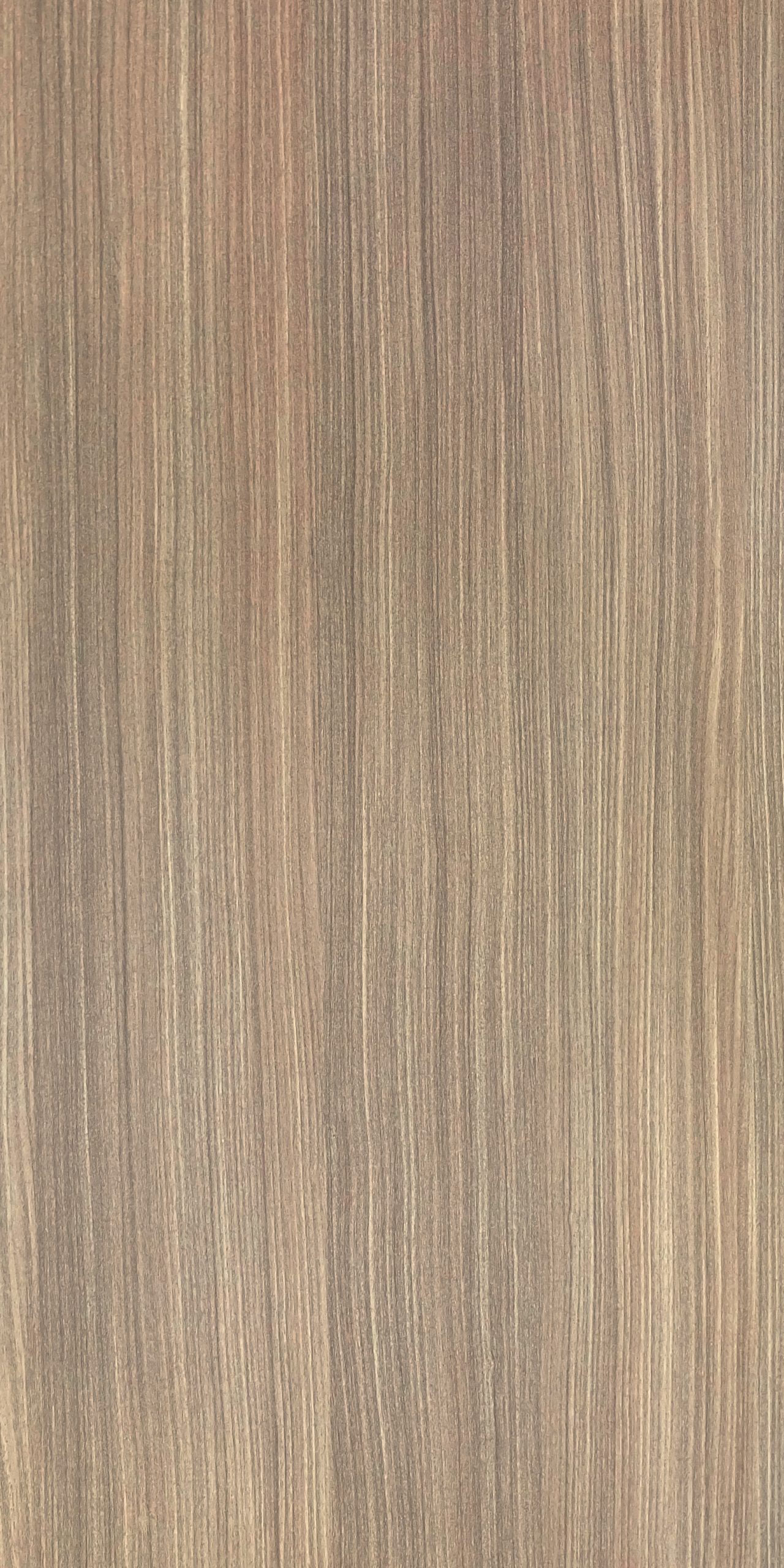 TW6 3509 ST ASH INNATE scaled 1.jpg