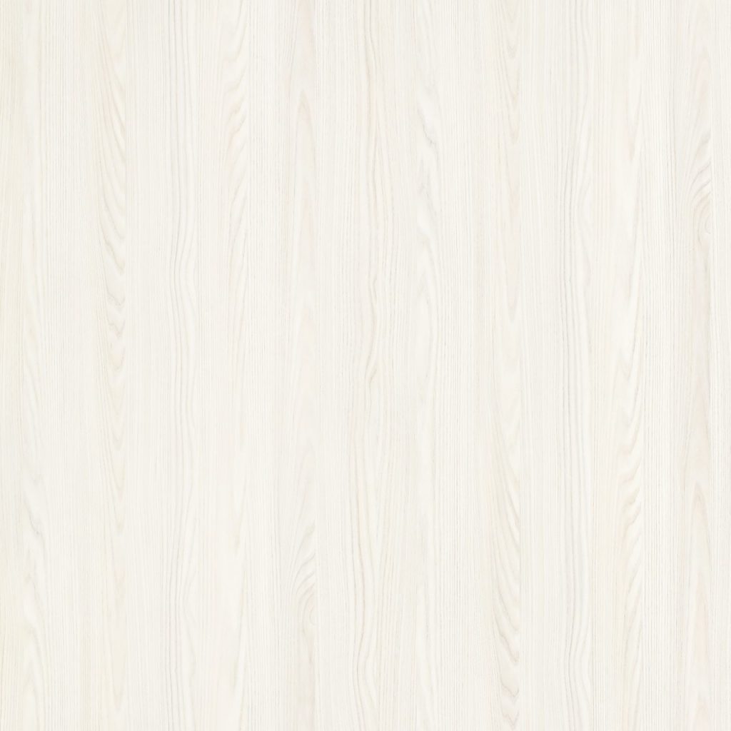 TW7 3629 M PALESTINE ASH scaled 1.jpg