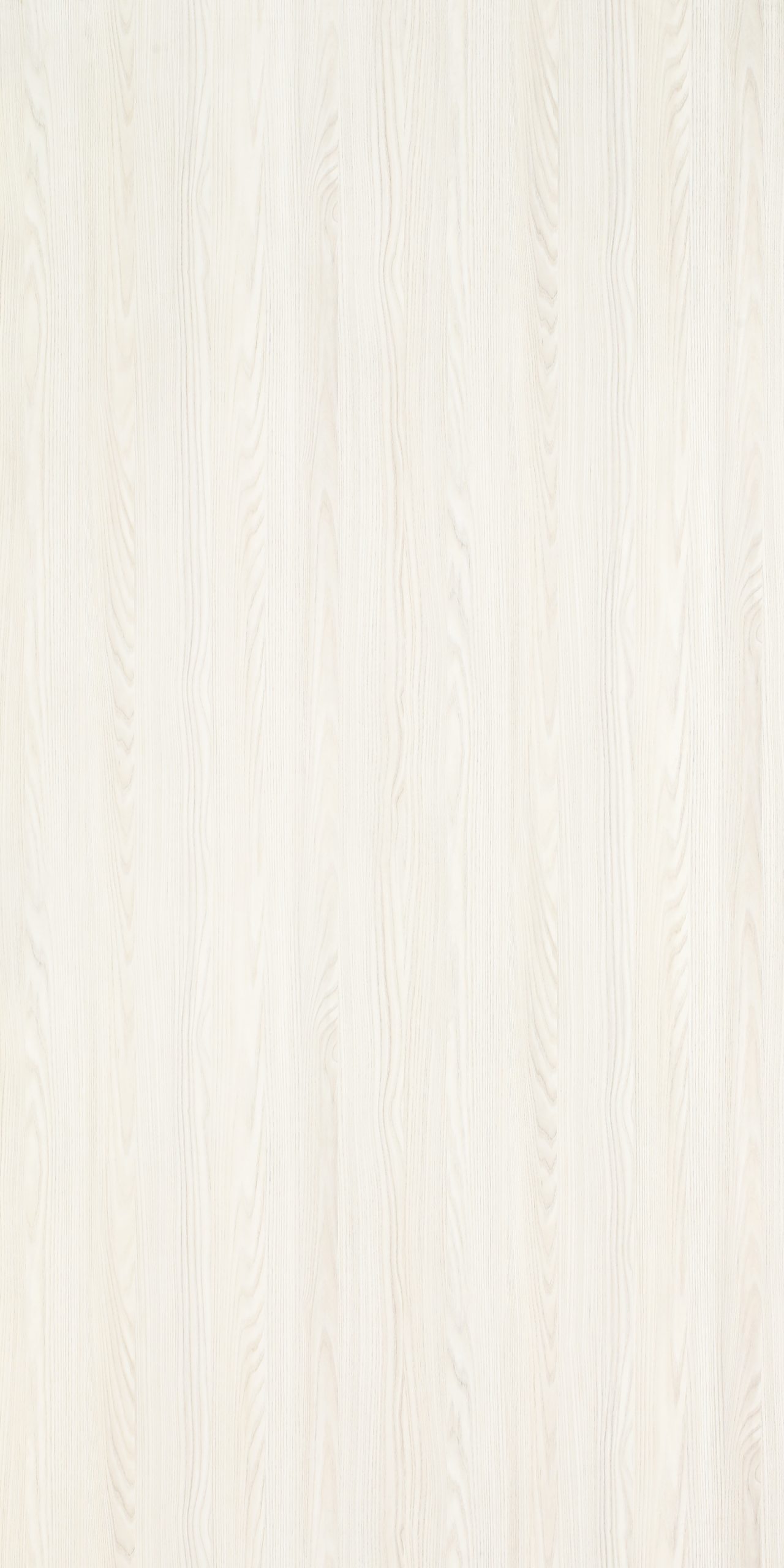 TW7 3629 M PALESTINE ASH scaled 1.jpg