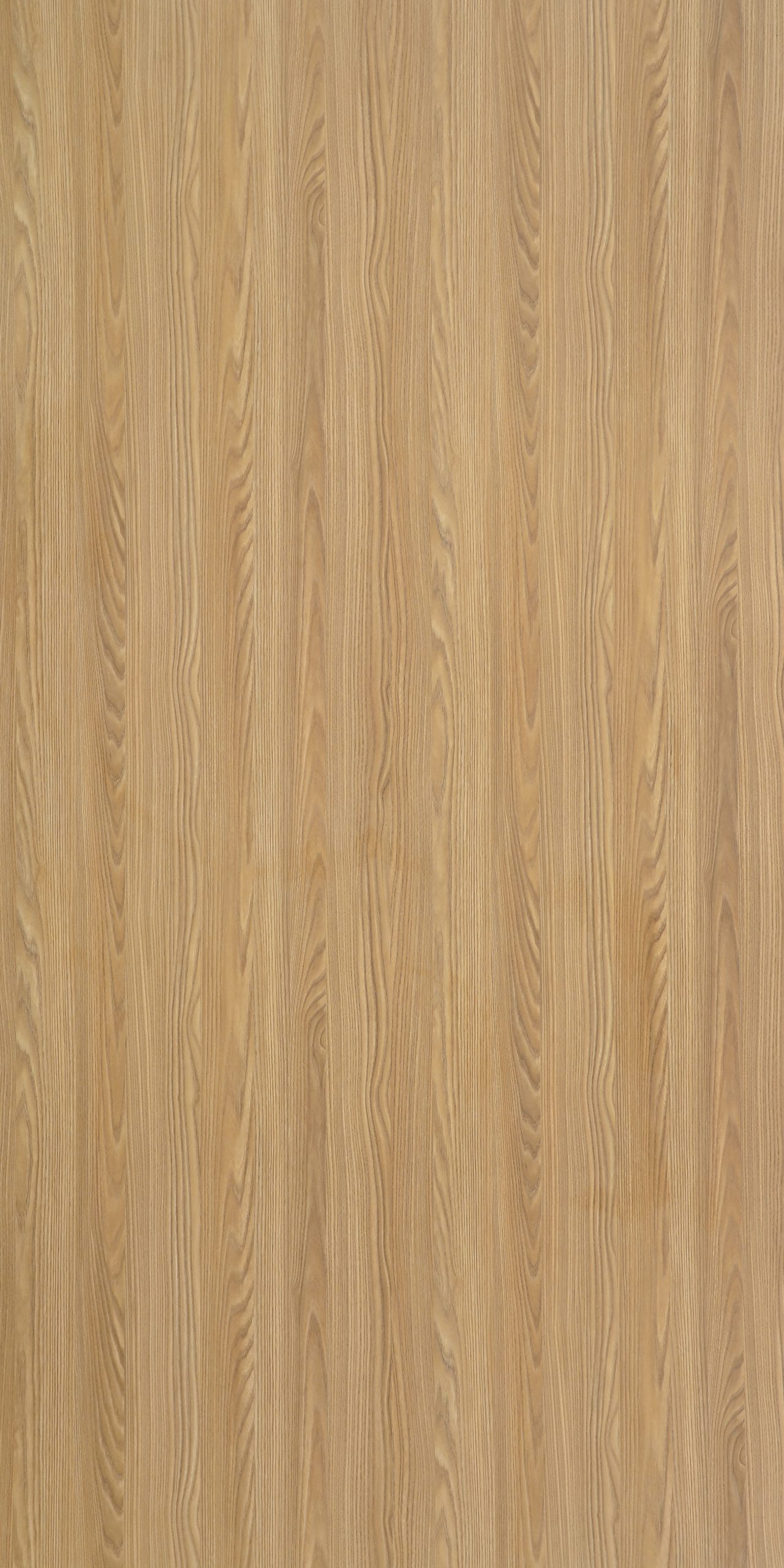 TW7 3630 M BOLIVIA ASH scaled 1.jpg