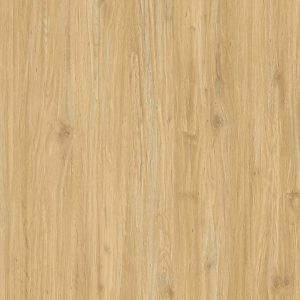 TW7 3731 VM TAXCO OAK scaled 1.jpg