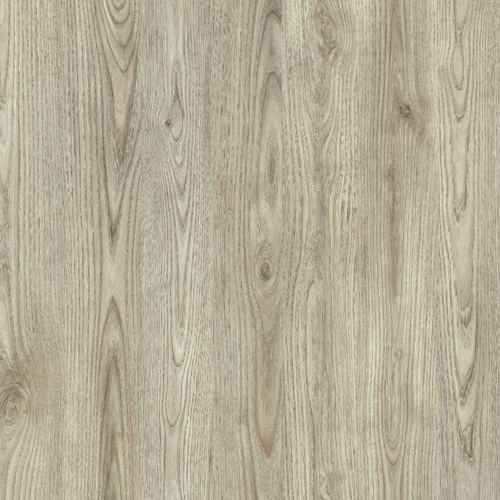 TW8 3600 SE MANCHESTER CHESTNUT scaled 1.jpg