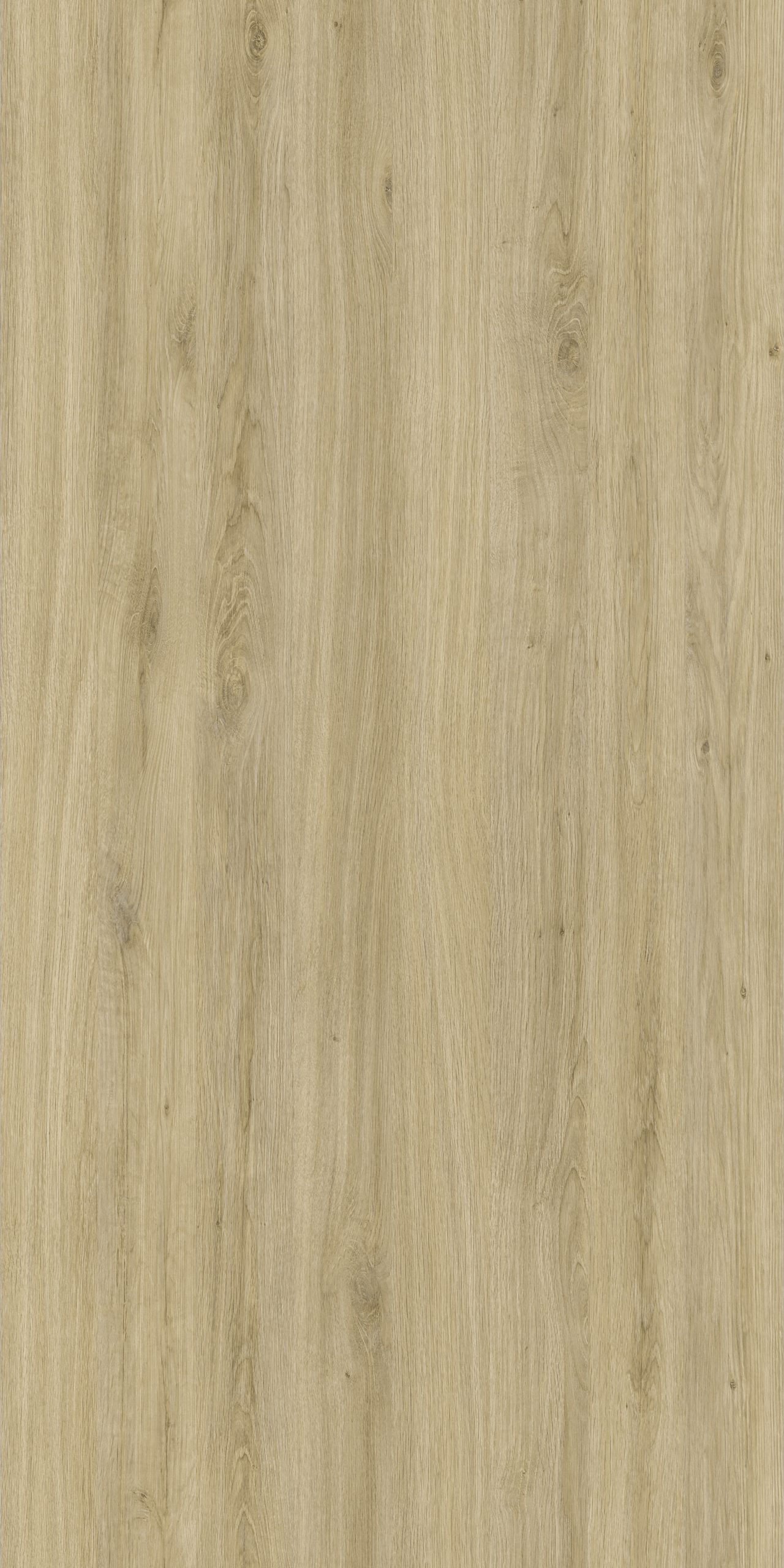 TW8 3605 SE FRANKFURT CHESTNUT scaled 1.jpg