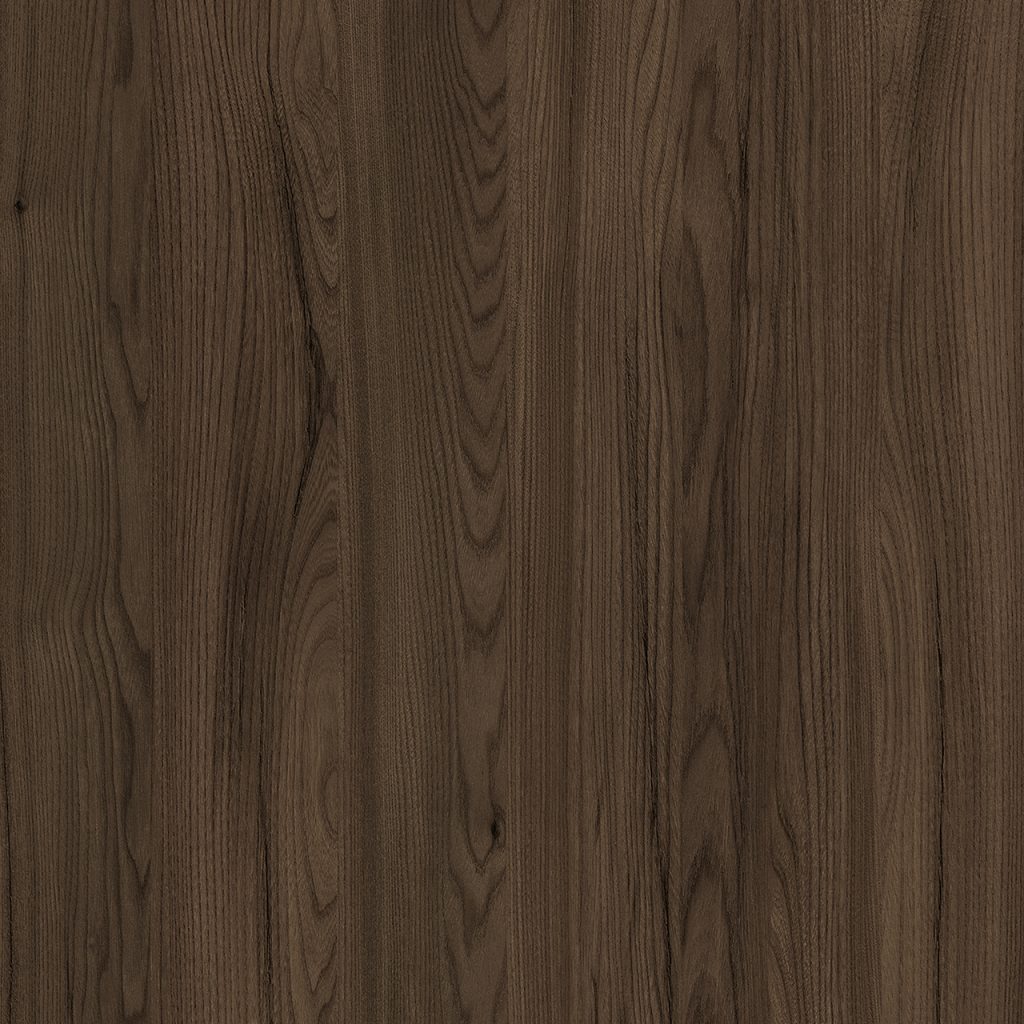 TW8 3616 ST LIBYA ELM 2024.jpg