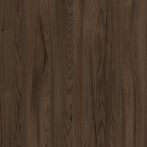 TW8 3616 ST LIBYA ELM 2024.jpg