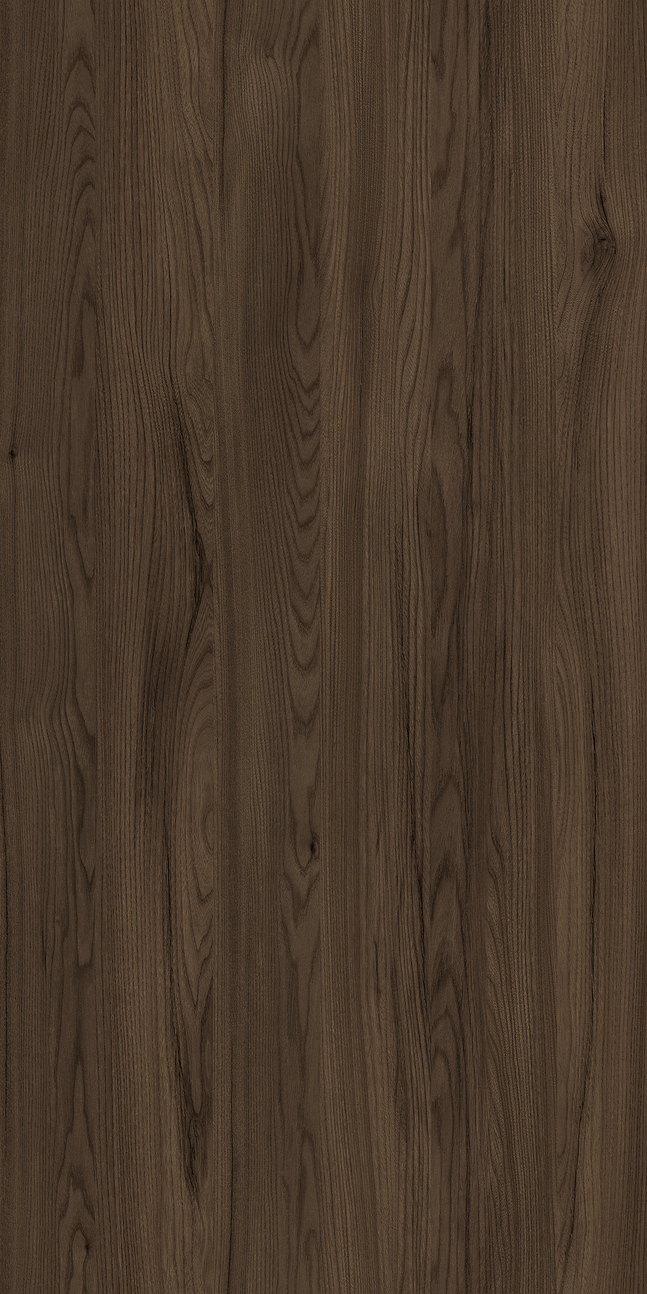 TW8 3616 ST LIBYA ELM 2024.jpg