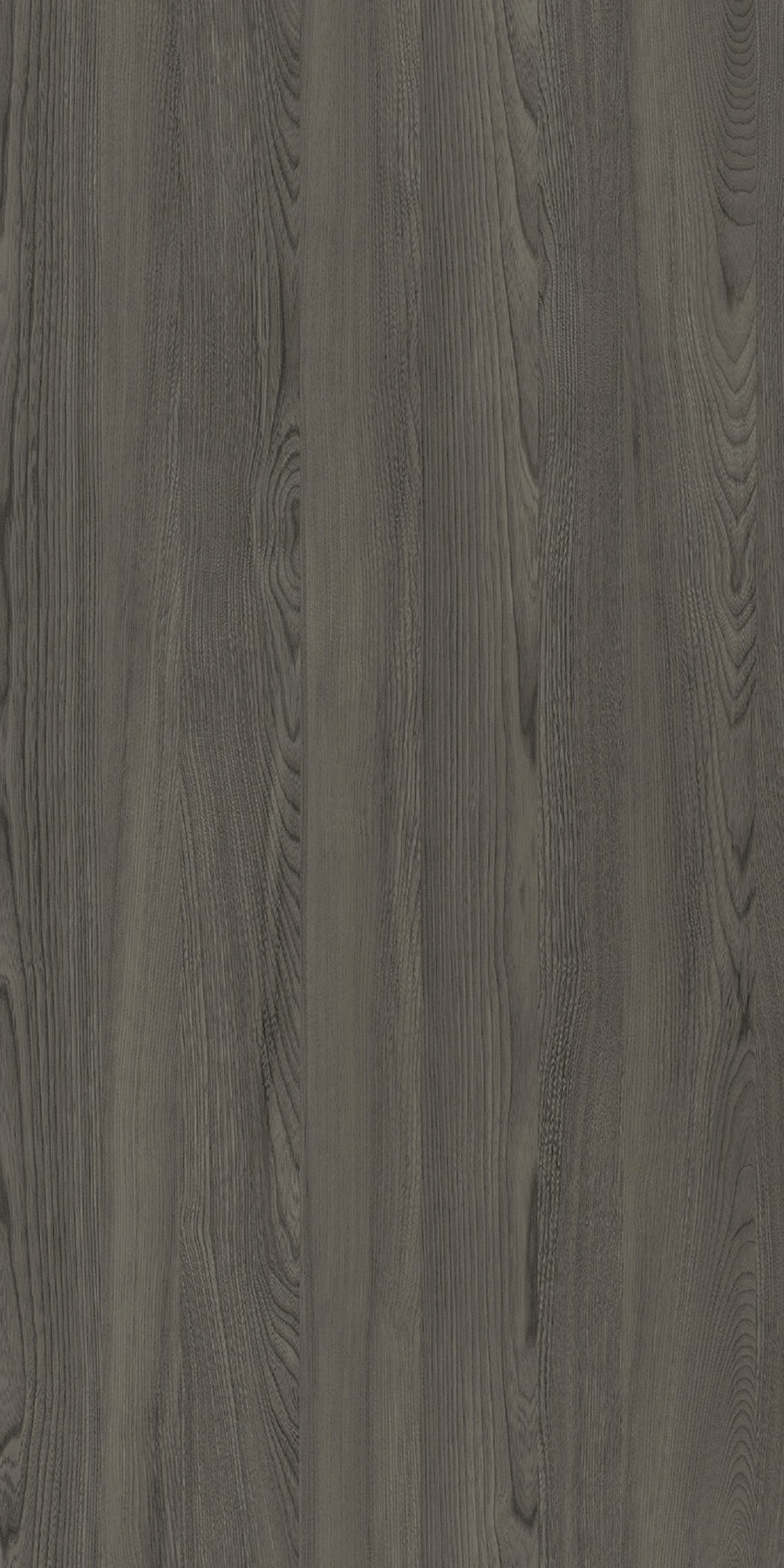 TW8 3618 VM CURACAO ELM scaled 1.jpg