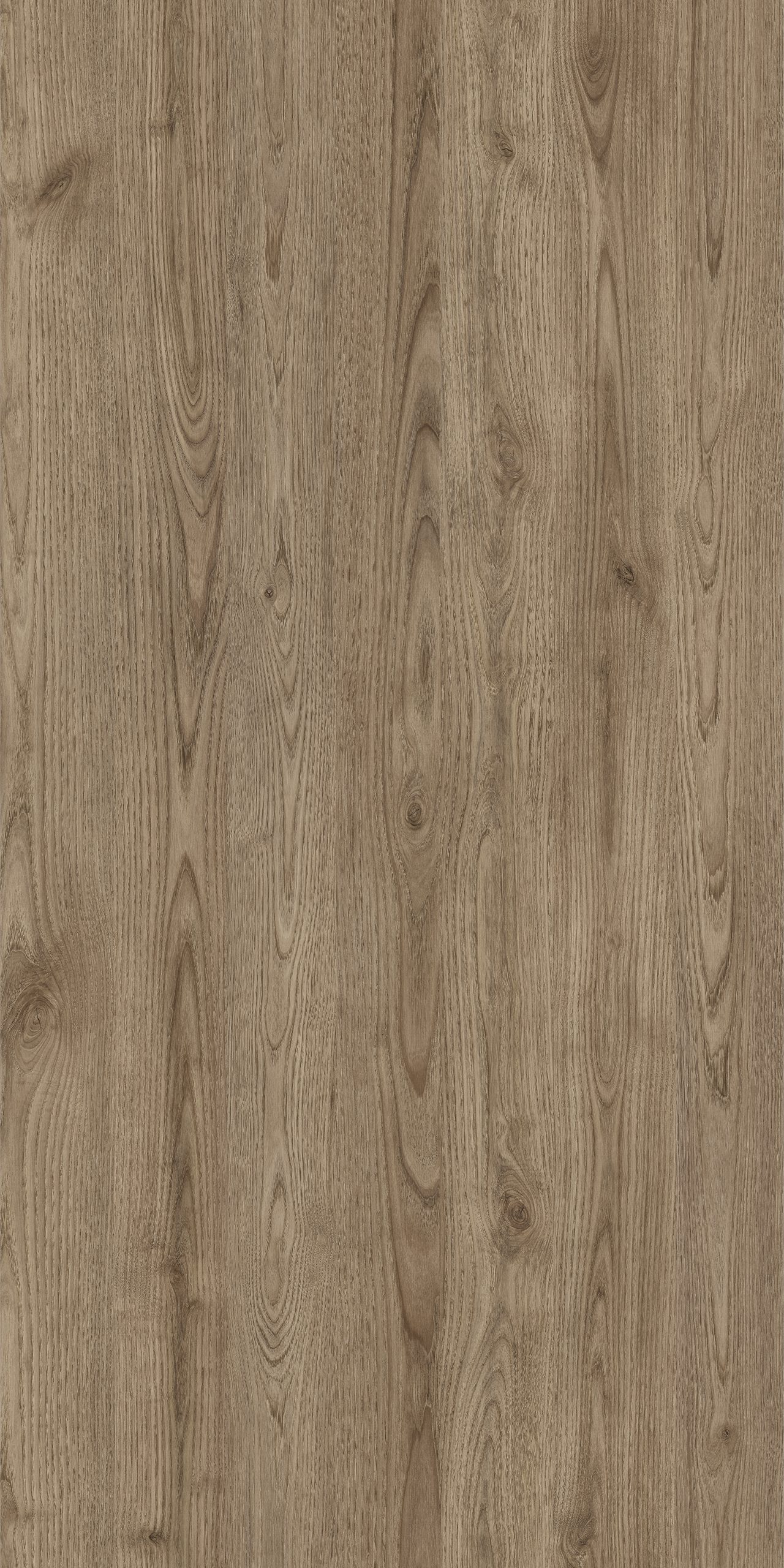 TW8 3623 SE SALTO CHESTNUT scaled 1.jpg