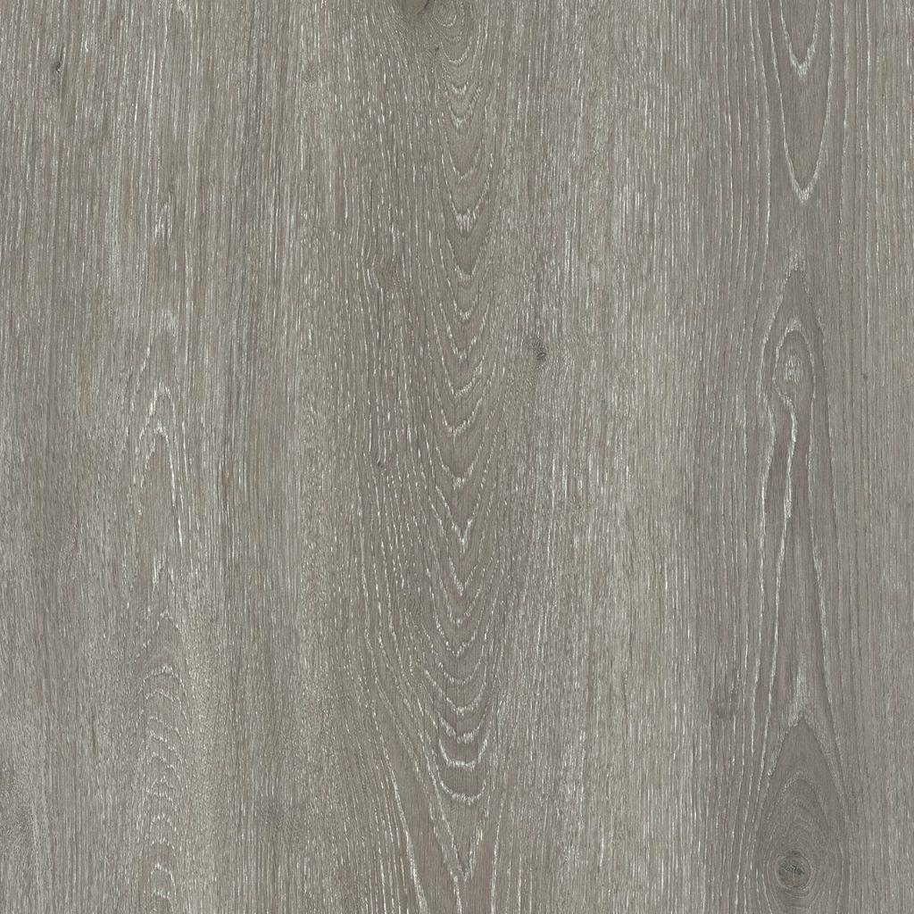 TW8 3631 JW SUVA ASH e1593773830151.jpg