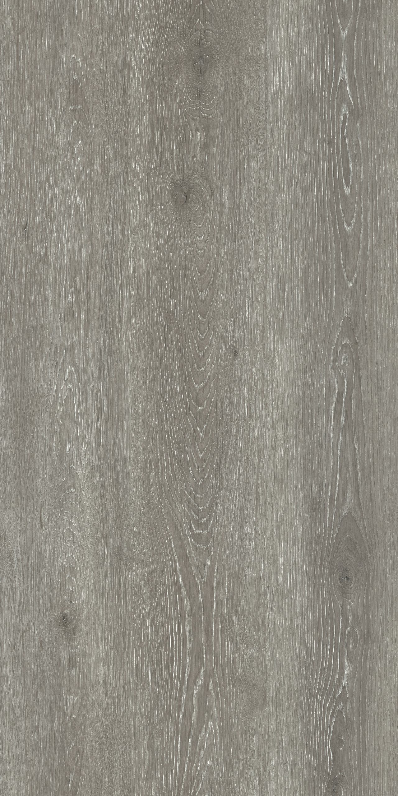 TW8 3631 JW SUVA ASH e1593773830151.jpg