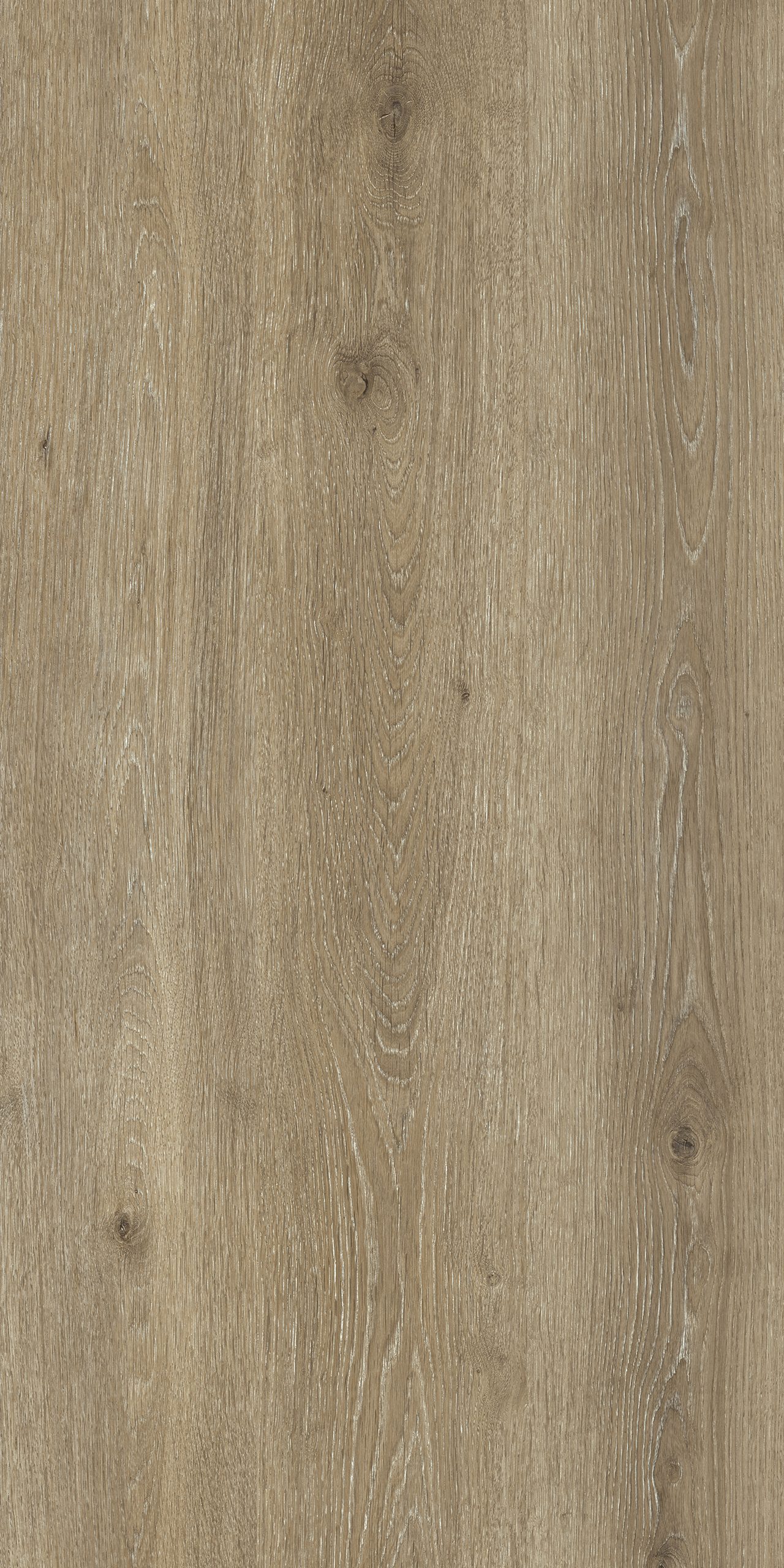 TW8 3632 JW CHEBBA ASH scaled 1.jpg