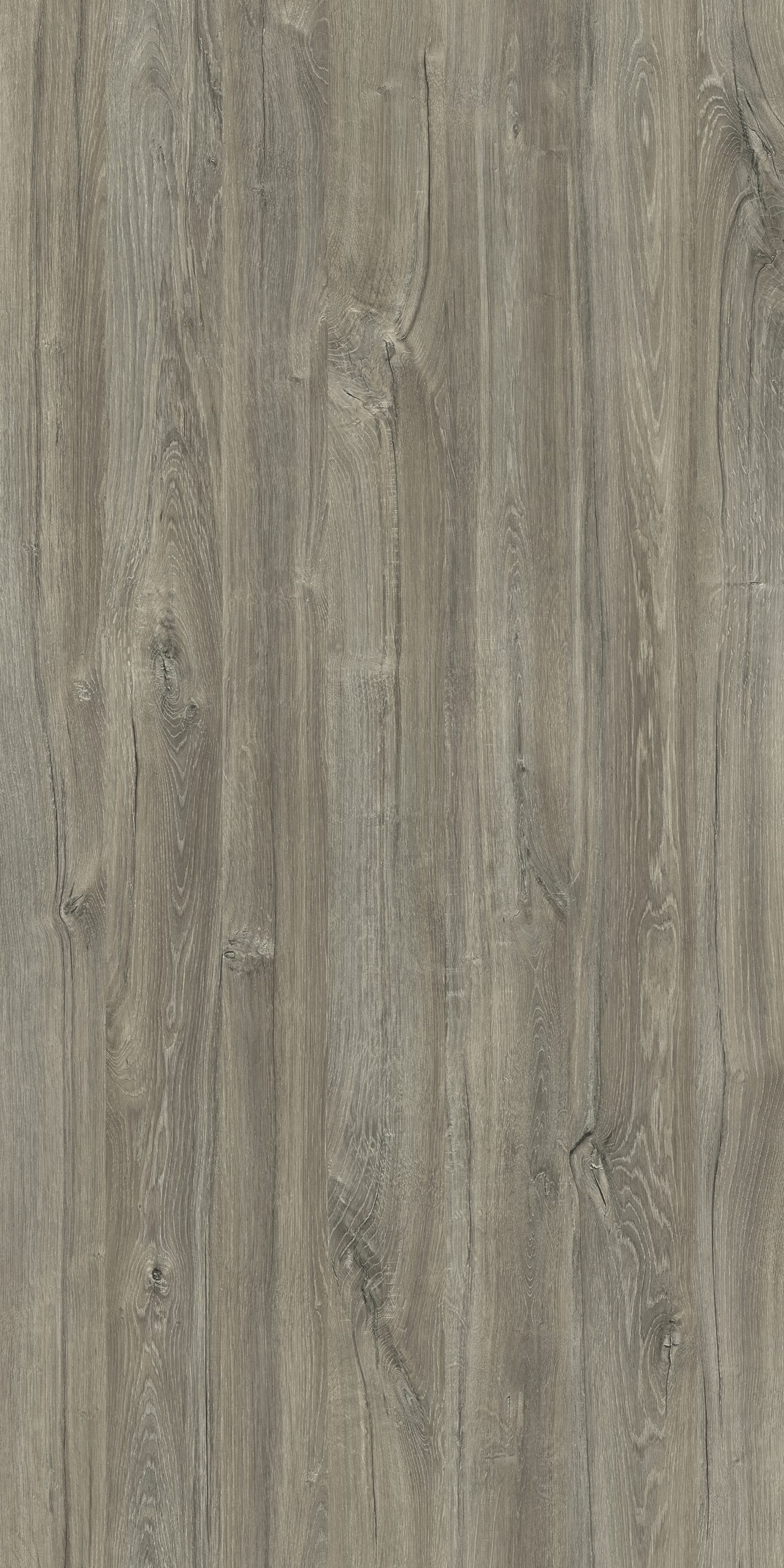 TW8 3636 SE SLOVENIA OAK scaled 1.jpg