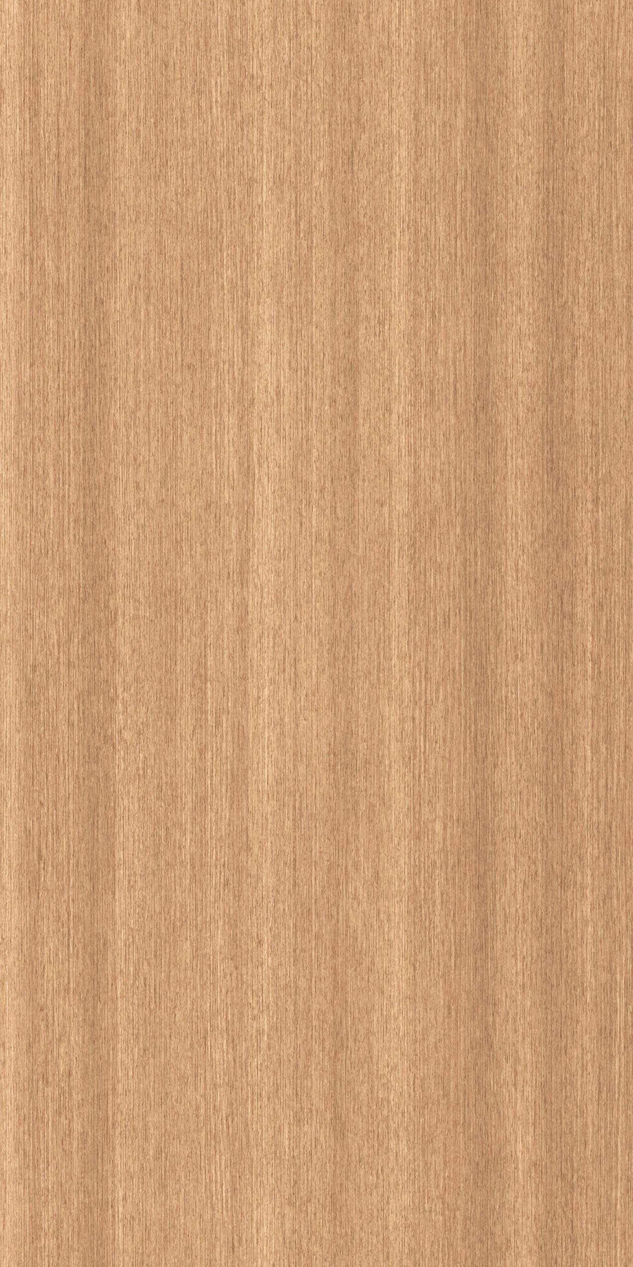 TW8 3638 ML VIZHI RECON scaled 1.jpg