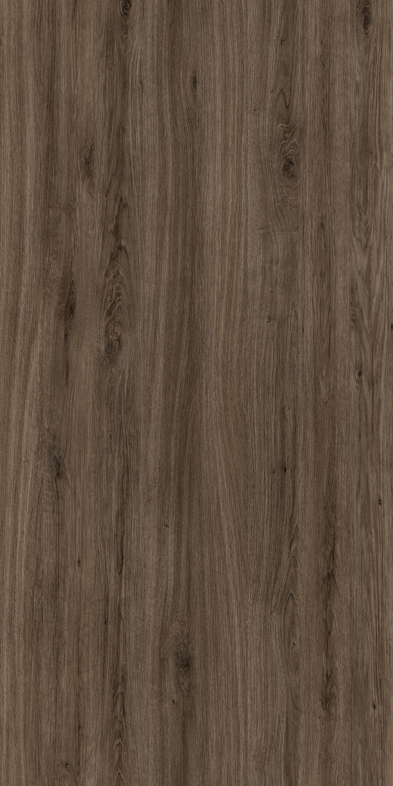 TW8 3650 SE GAMBIA CHESTNUT scaled 1.jpg