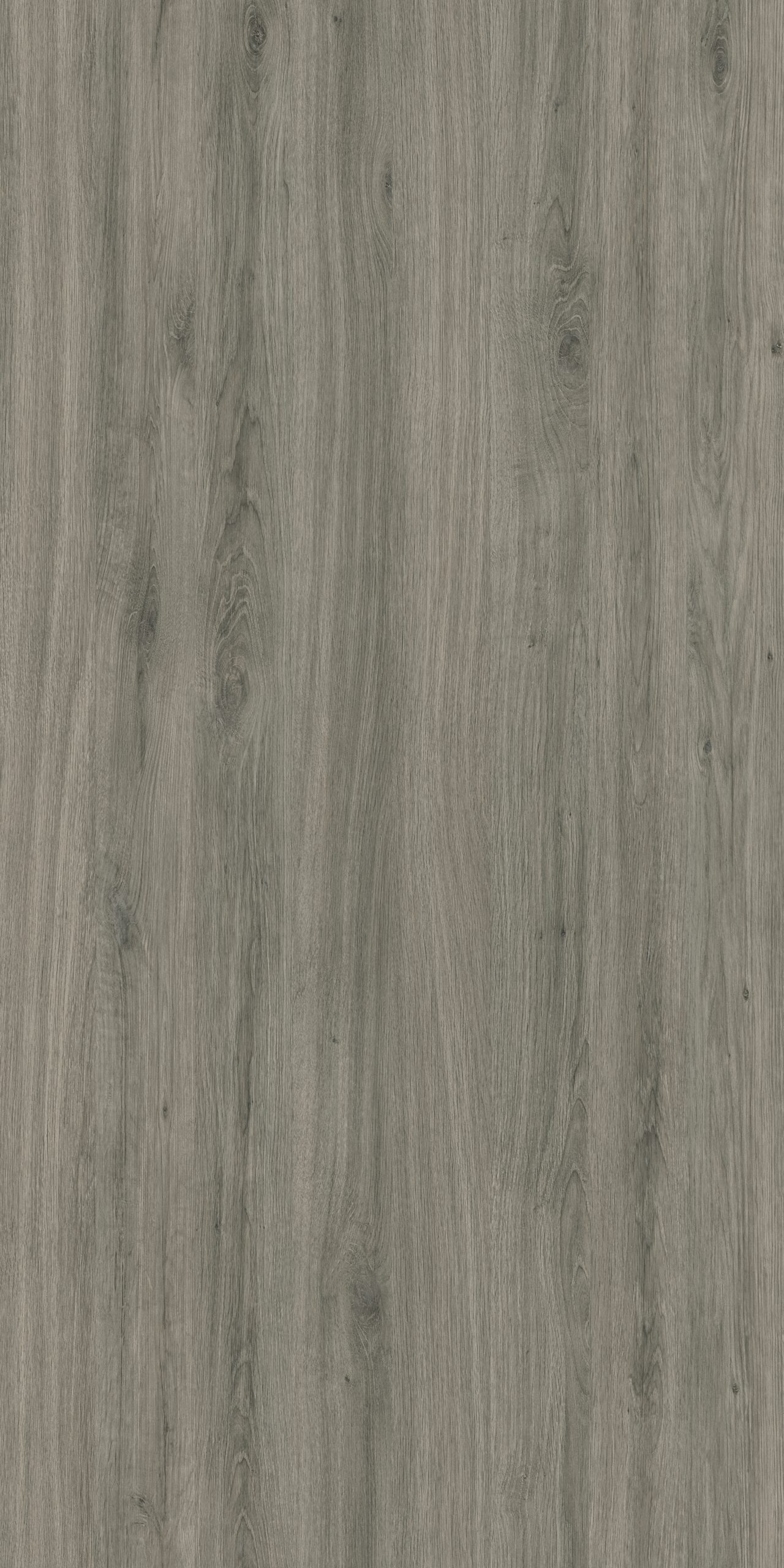 TW8 3651 SE NEPAL CHESTNUT scaled 1.jpg