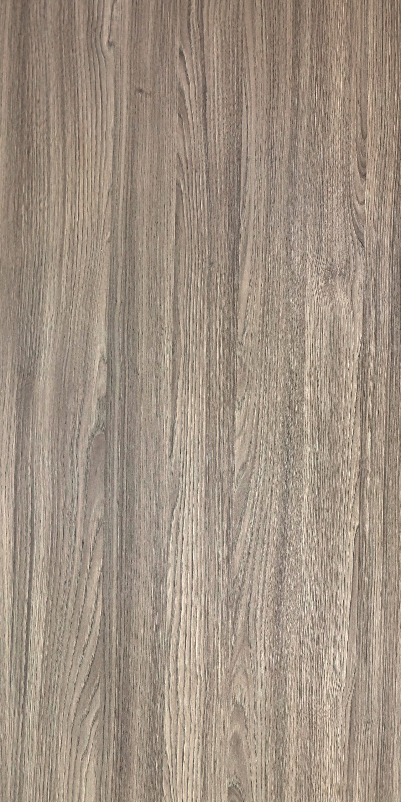TW8 3659 NE NDOLA OAK scaled 1.jpg