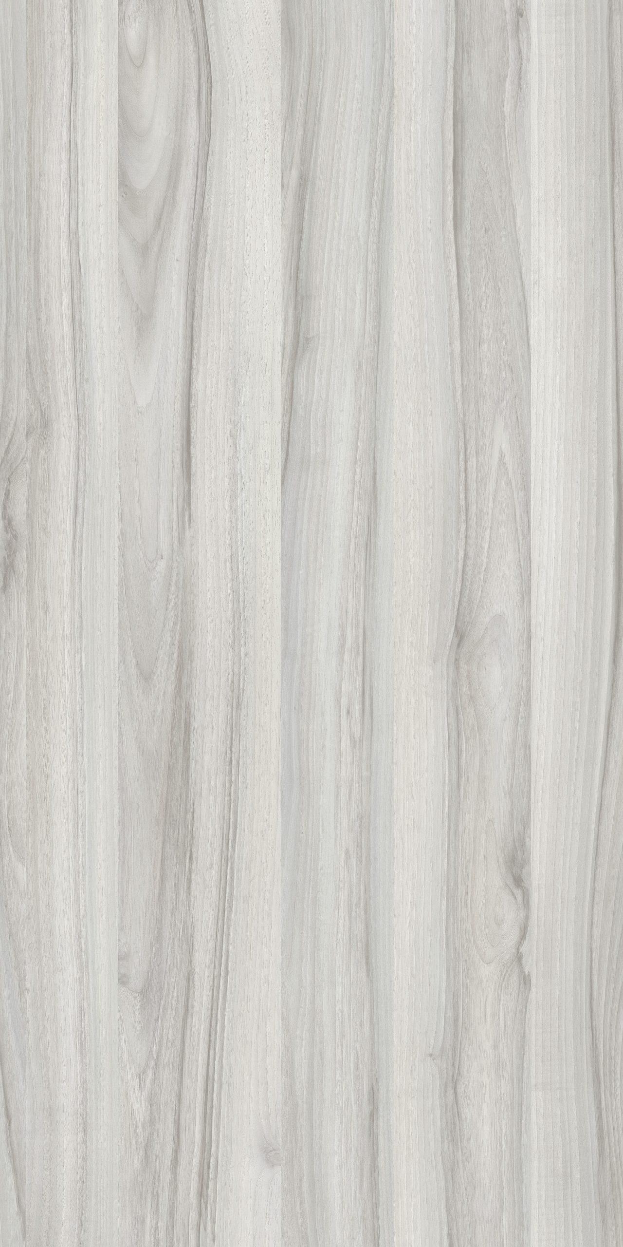 TW8 3677 M RAJOURI WALNUT scaled 1.jpg