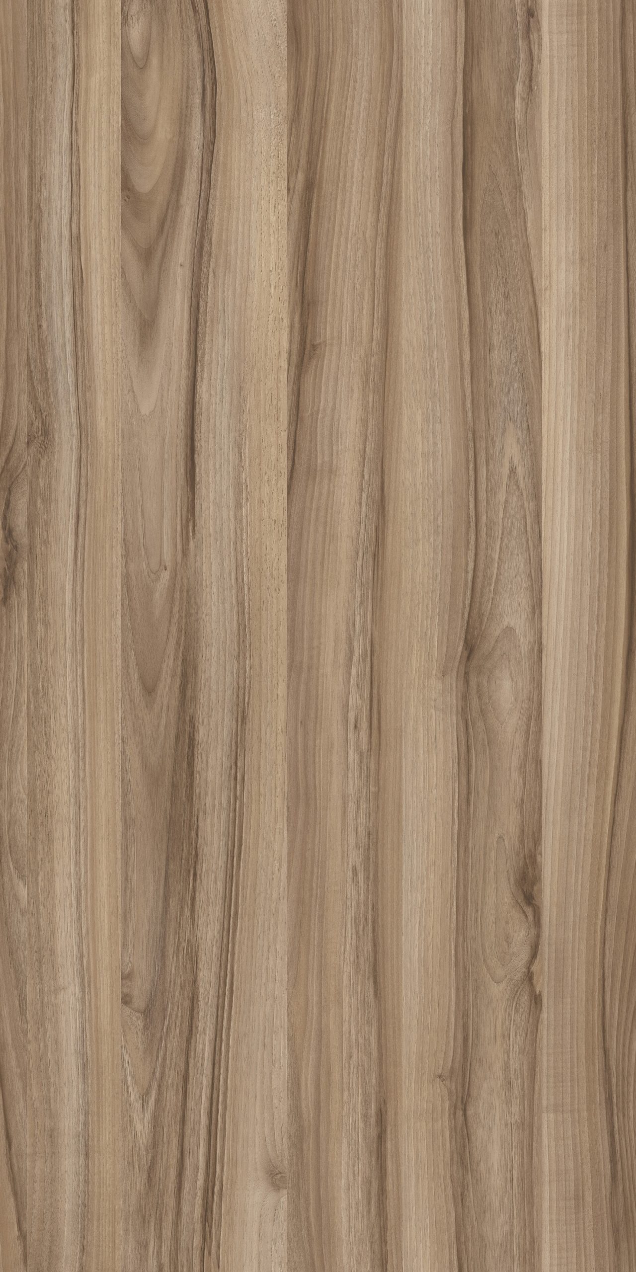 TW8 3678 M PANOOR WALNUT scaled 1.jpg