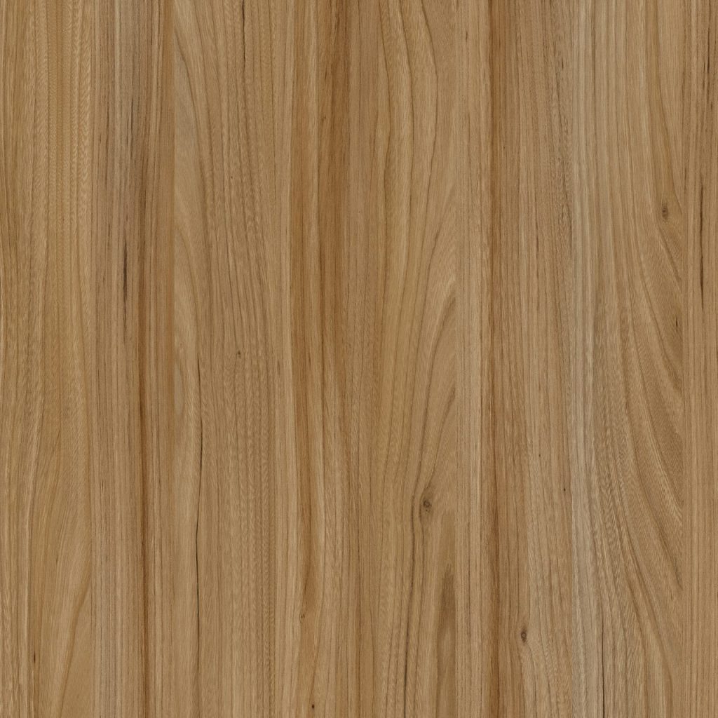 TW8 3701 SE RAGUSA ELM scaled 1.jpg