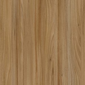 TW8 3701 SE RAGUSA ELM scaled 1.jpg