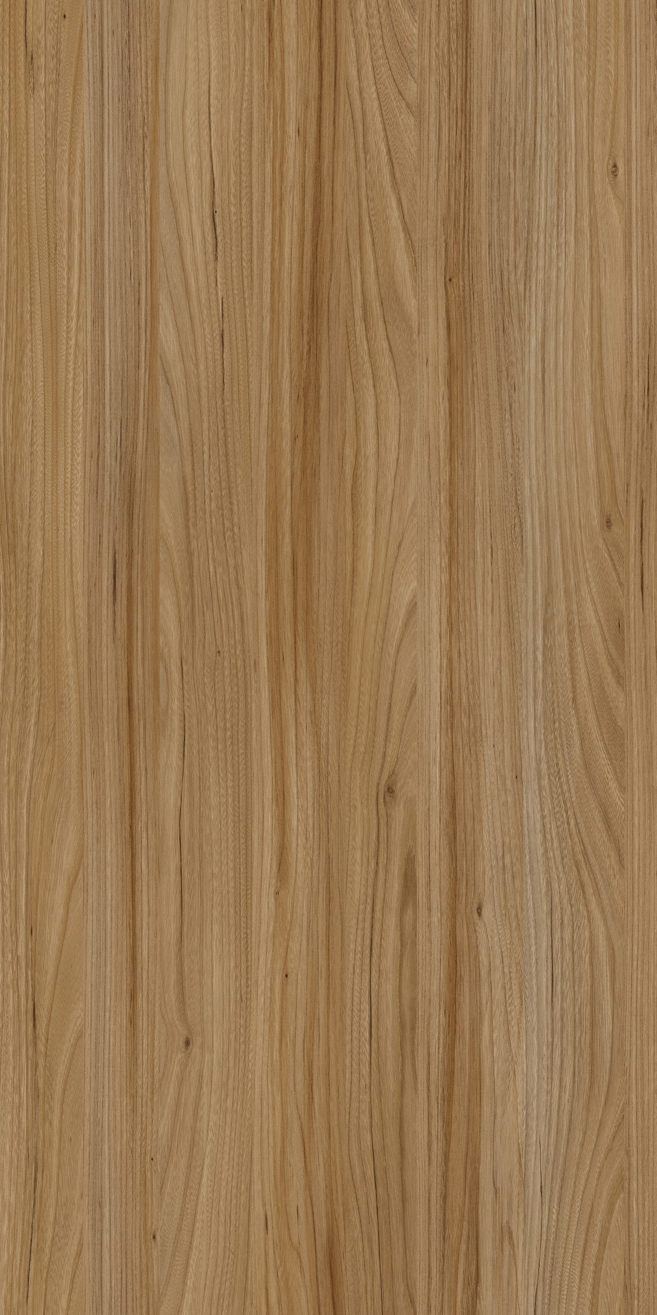 TW8 3701 SE RAGUSA ELM scaled 1.jpg