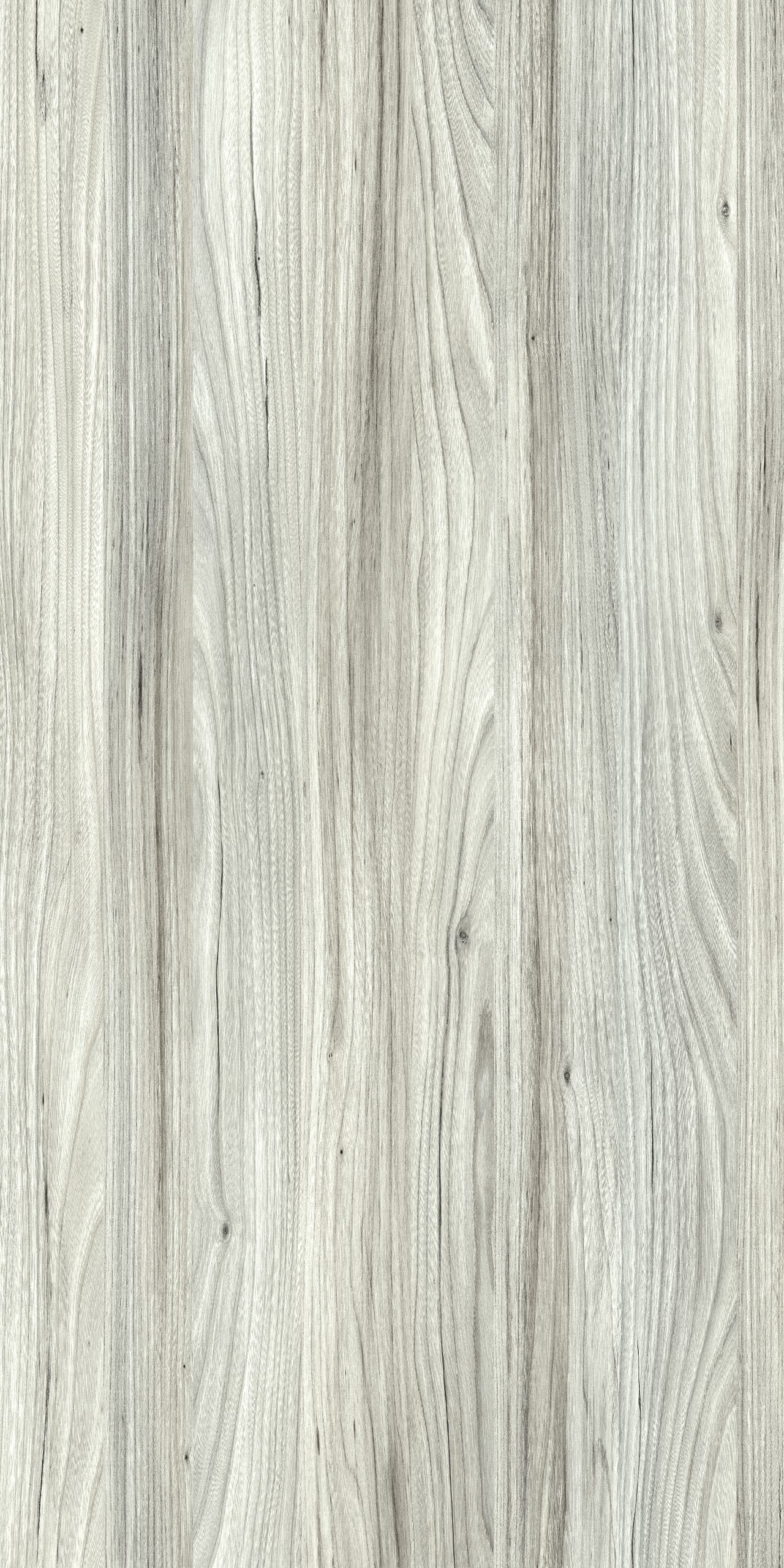 TW8 3702 SE LIVORNO ELM scaled 1.jpg