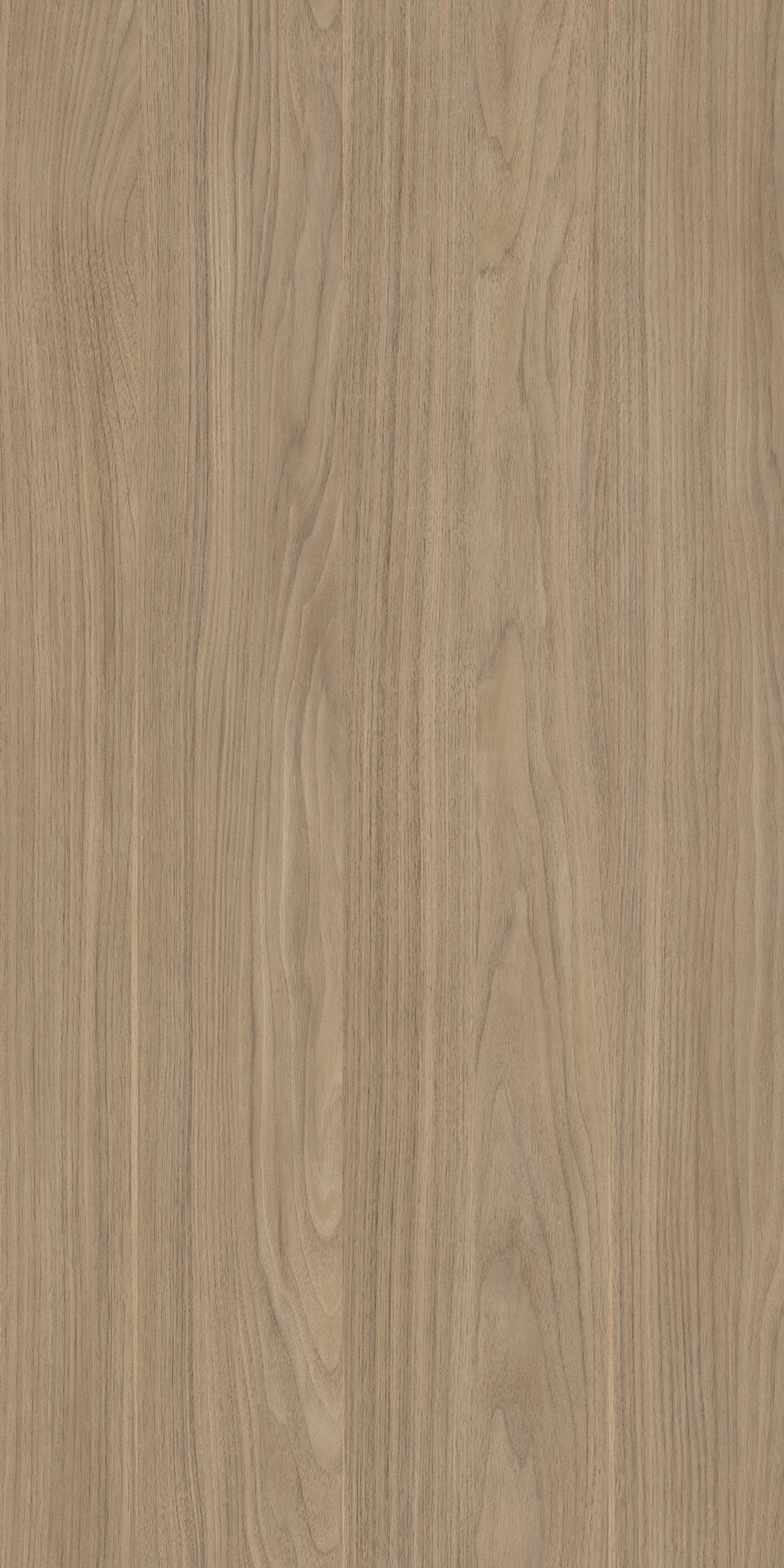 TW8 3706 VM BOLZANO WALNUT scaled 1.jpg