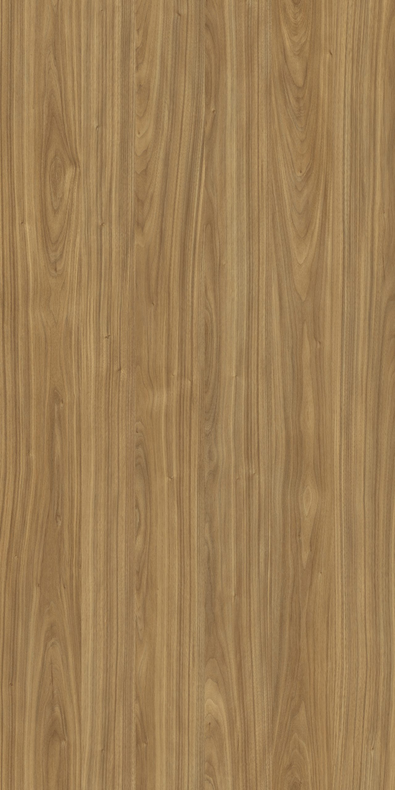 TW8 3708 W TRENTO WALNUT scaled 1.jpg