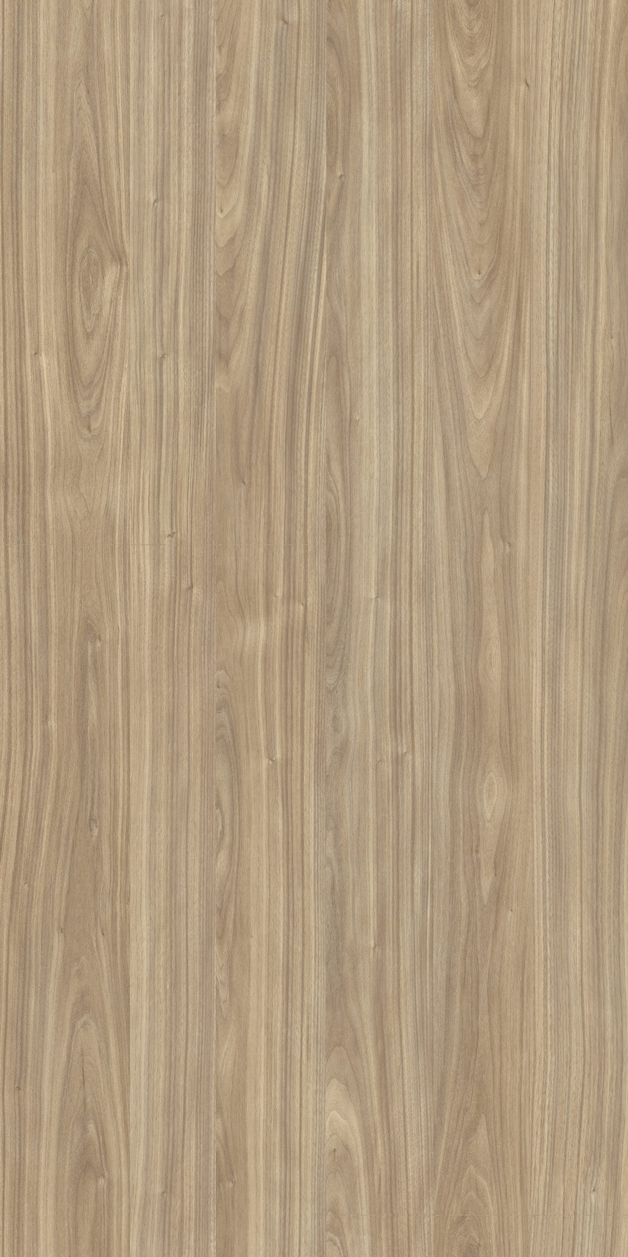 TW8 3710 W PARMA WALNUT scaled 1.jpg