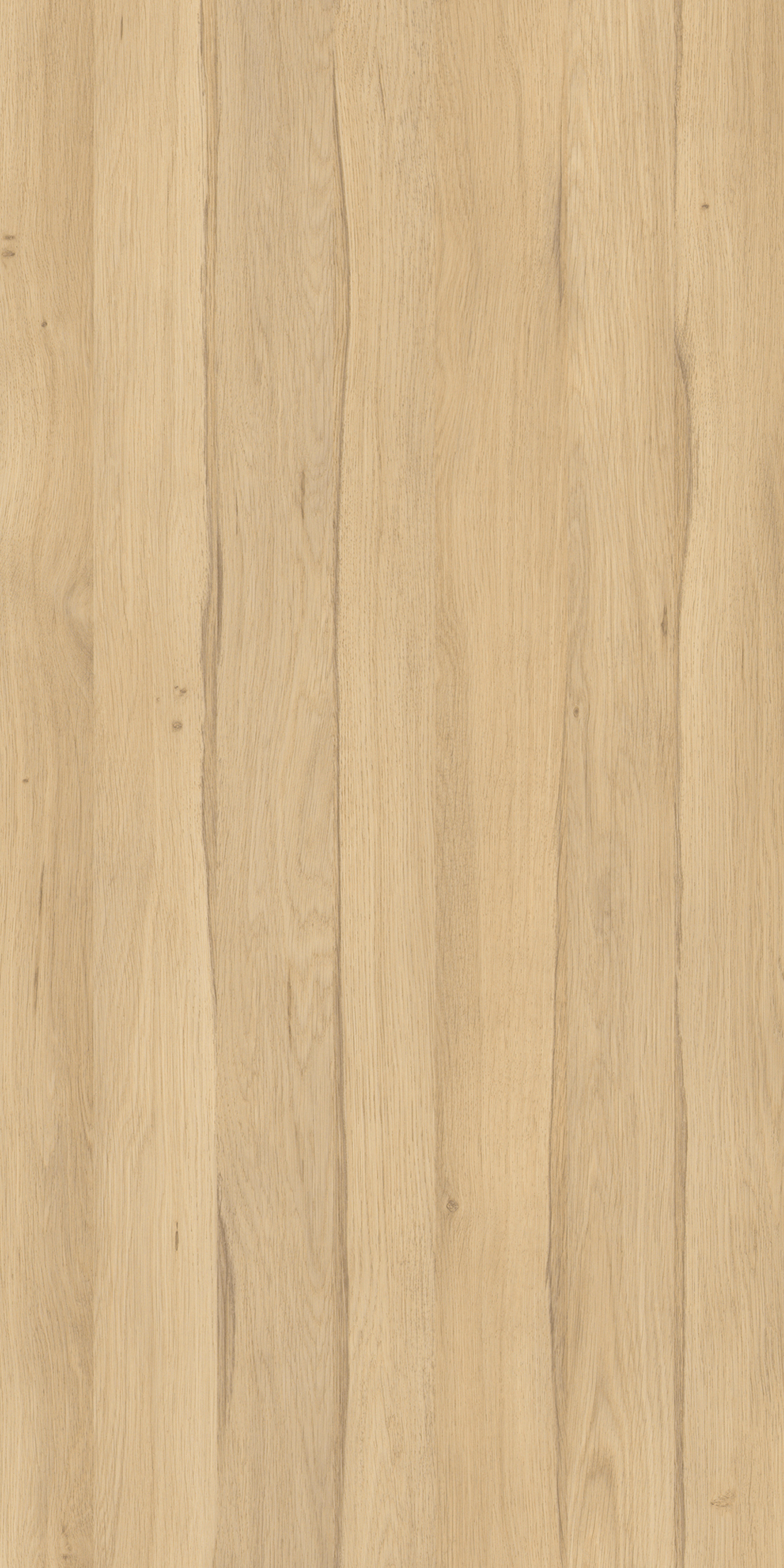 TW8 3713 IM CAMBRIDGE OAK.jpg