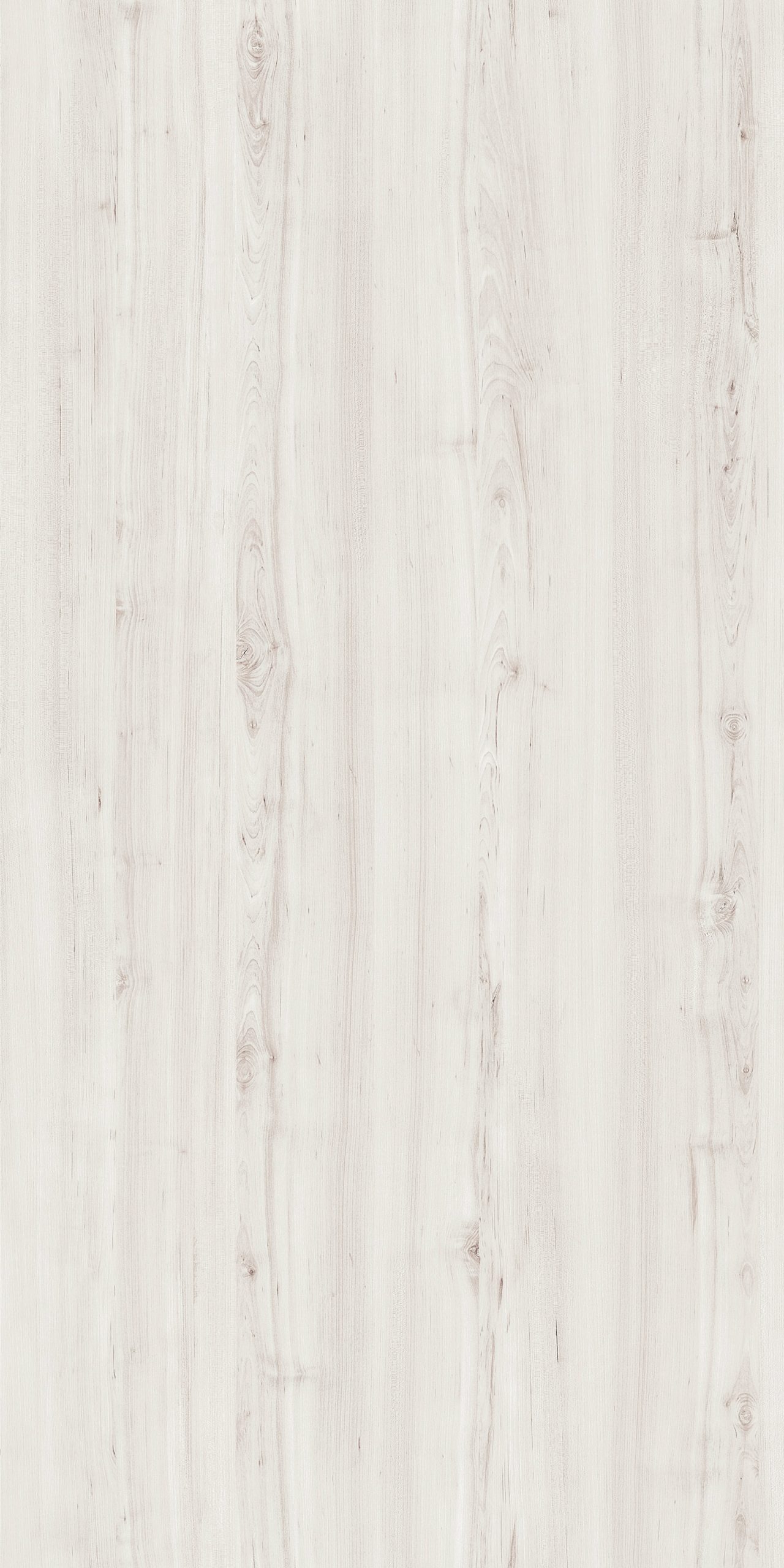 TW8 3715 SM ZURICH BIRCH scaled 1.jpg