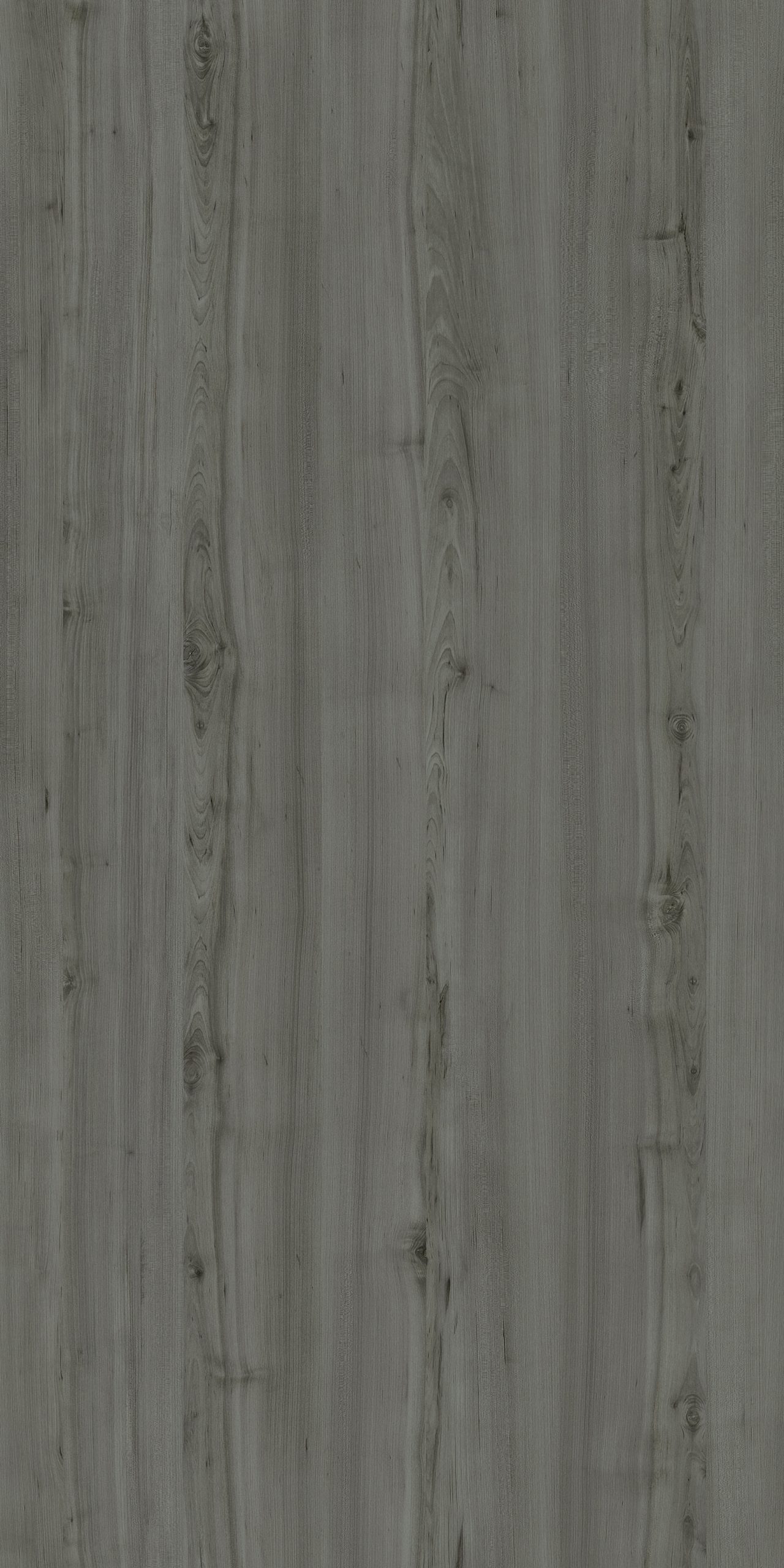 TW8 3716 SM GENEVA BIRCH scaled 1.jpg