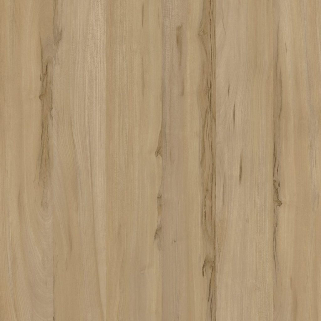 TW8 3721 IM GOUDA ELM scaled 1.jpg